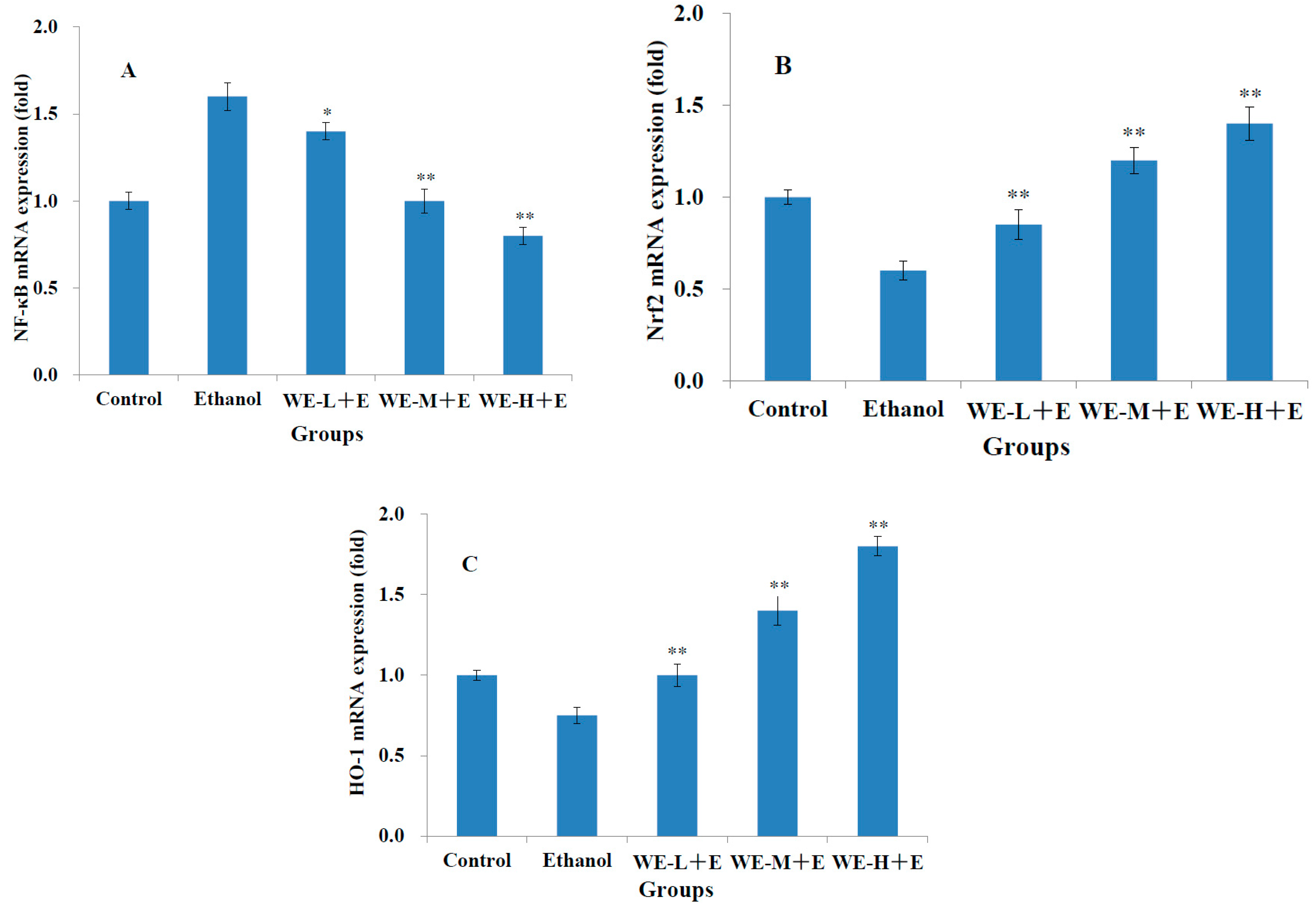Fermentation 09 00656 g005 Fermentation 09 00656 g005