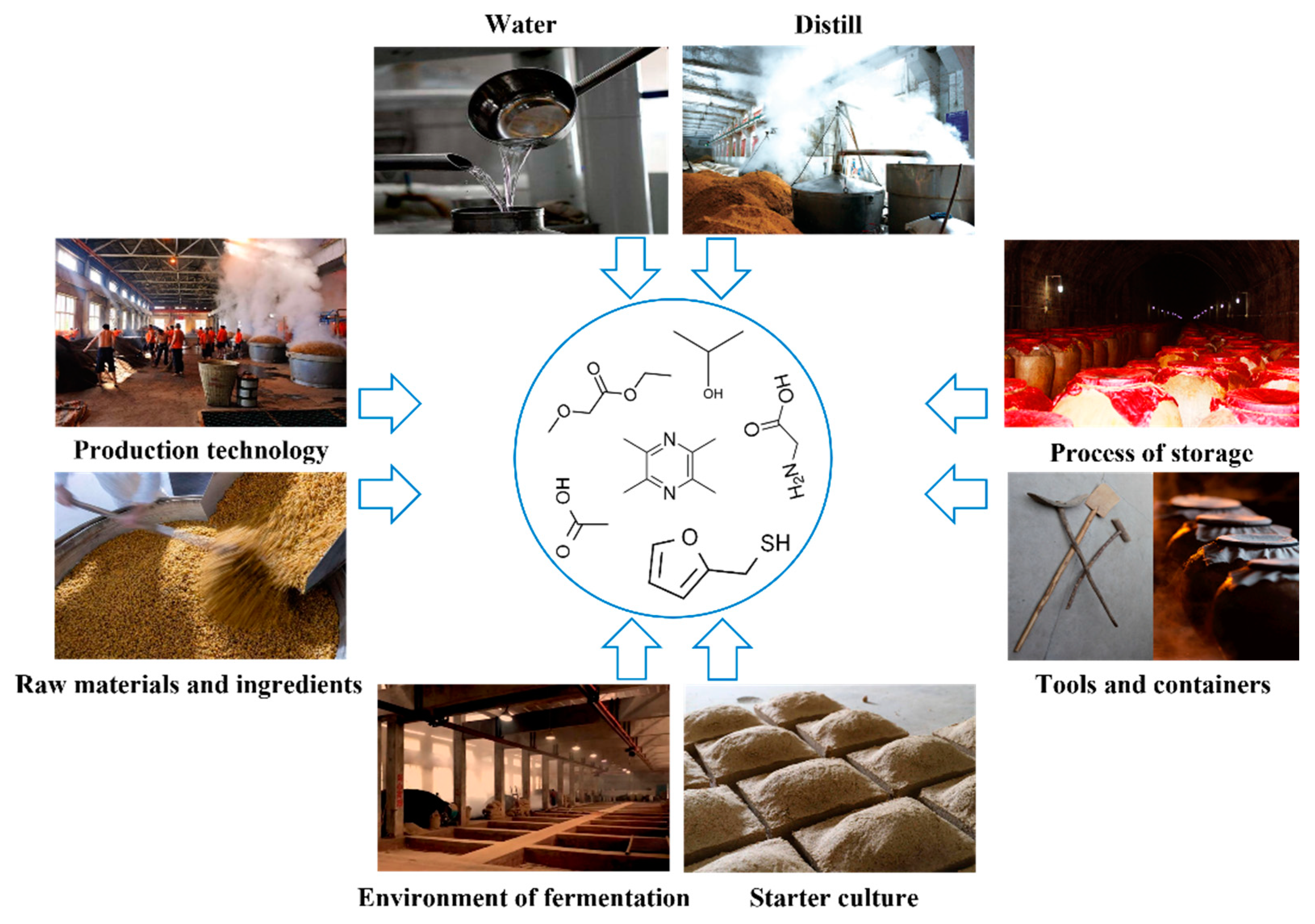 Fermentation 09 00658 g002 Fermentation 09 00658 g002