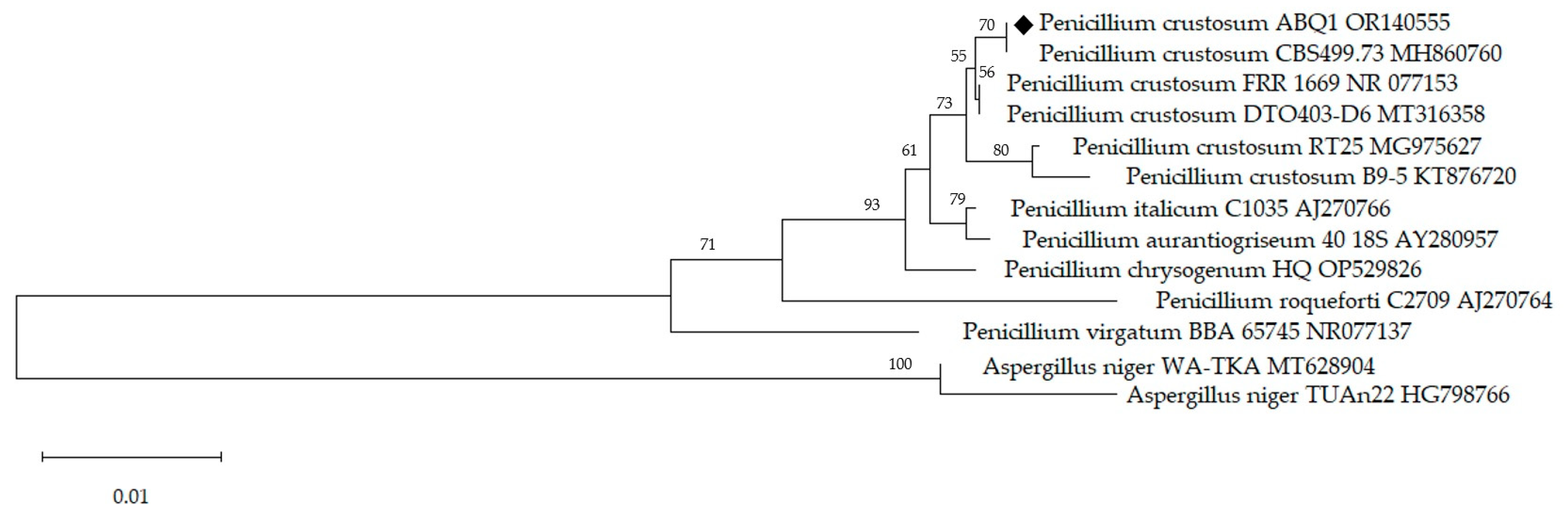 Fermentation 09 00660 g001 Fermentation 09 00660 g001