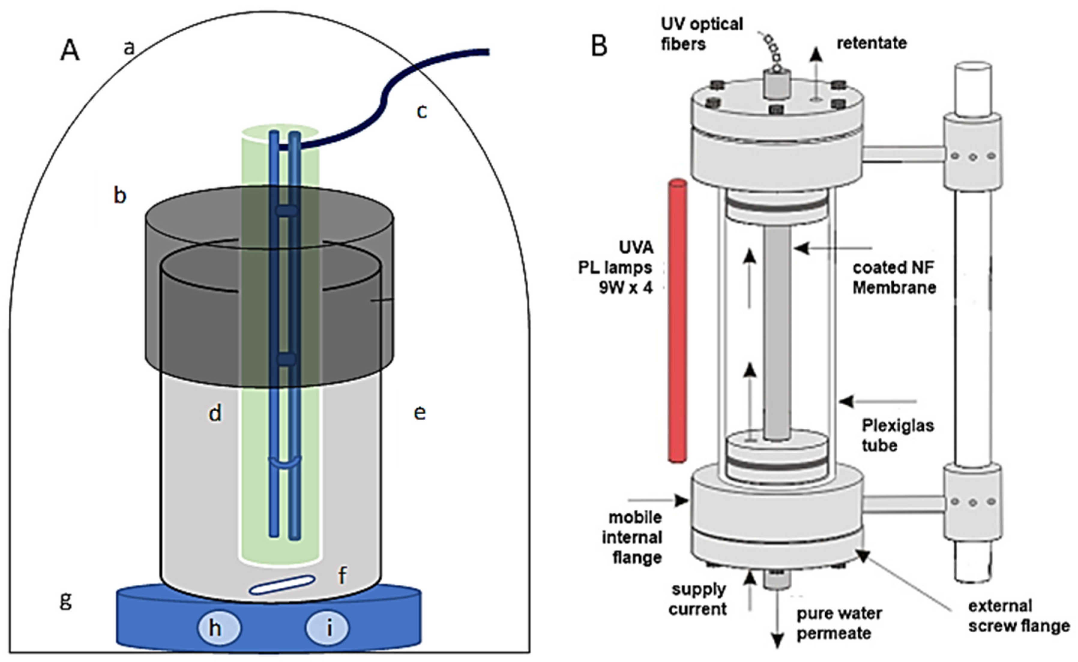 Fermentation 09 00662 g001