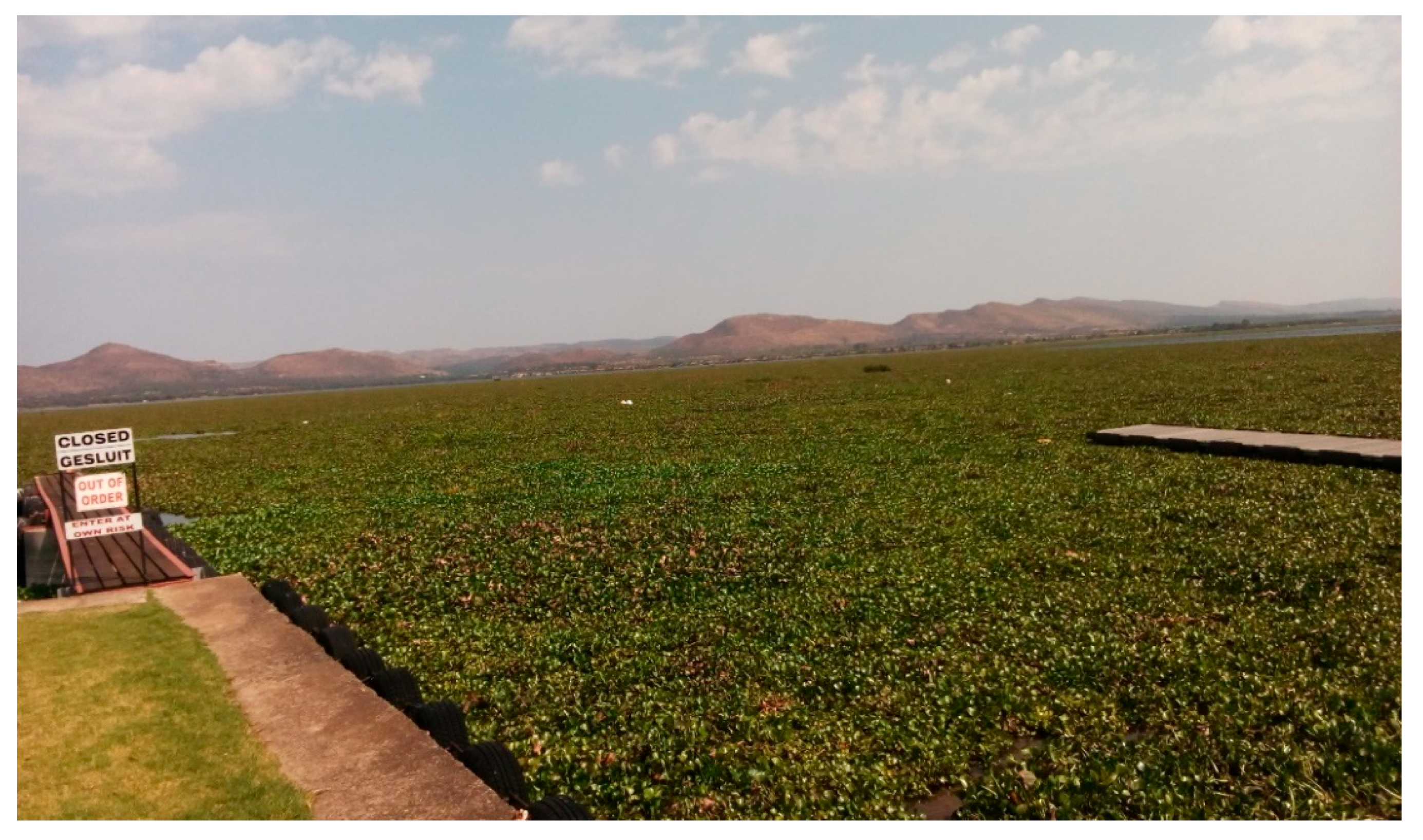 Fermentation 09 00685 g001