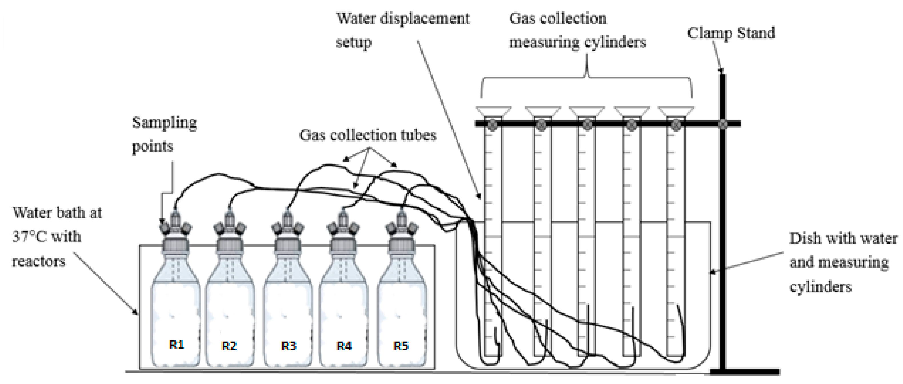 Fermentation 09 00685 g002