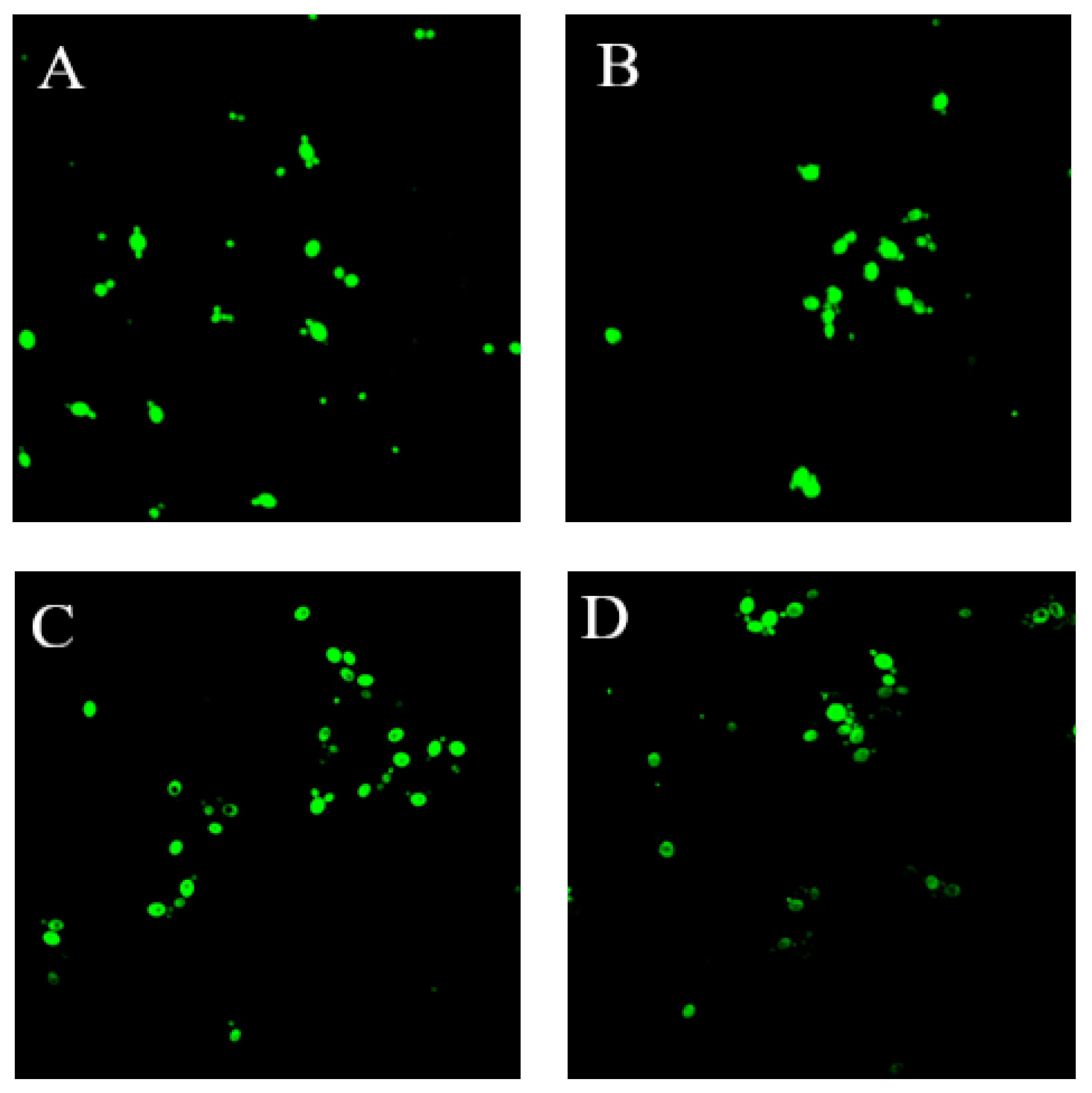 Fermentation 09 00700 g003