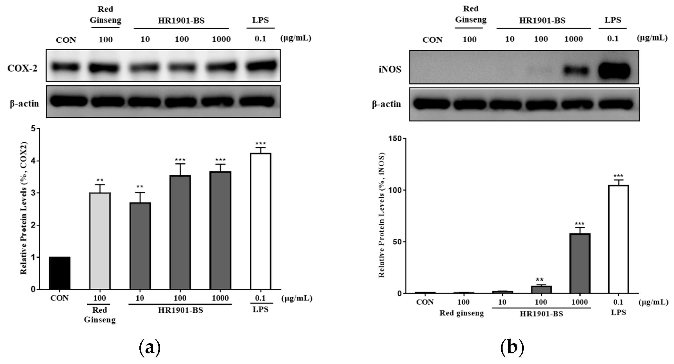 Fermentation 09 00701 g003 Fermentation 09 00701 g003