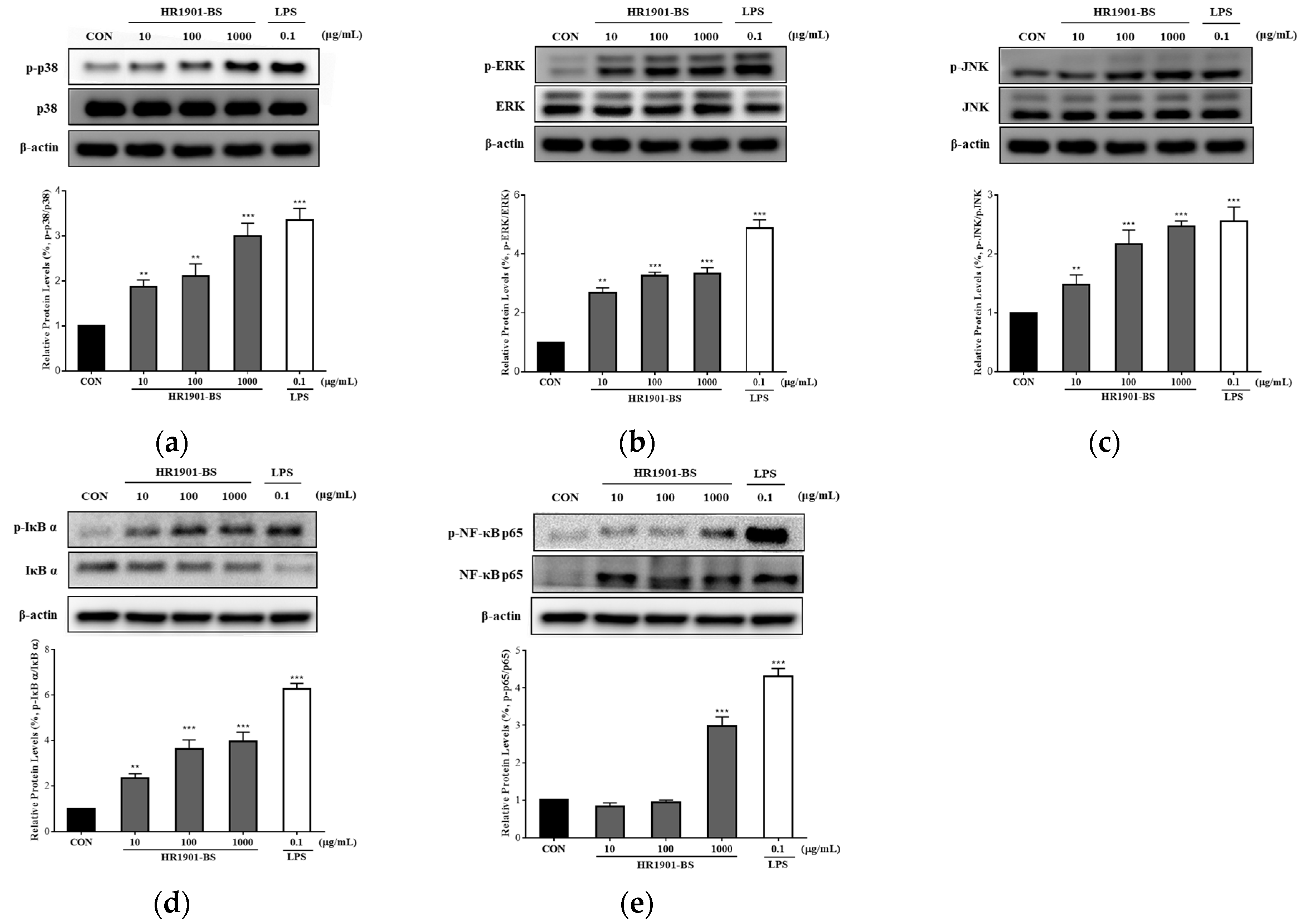 Fermentation 09 00701 g004 Fermentation 09 00701 g004