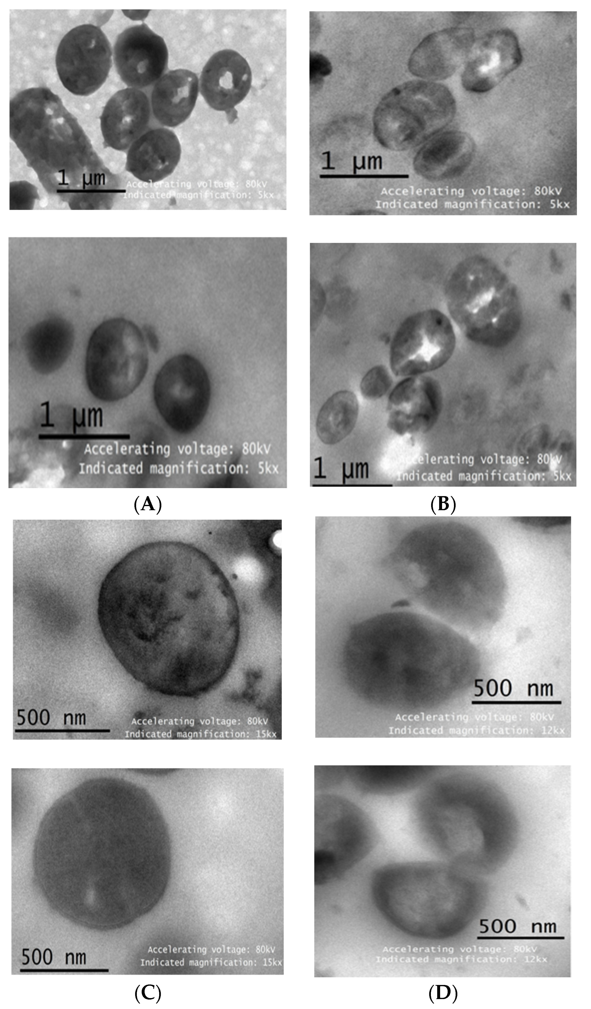 Fermentation 09 00706 g006