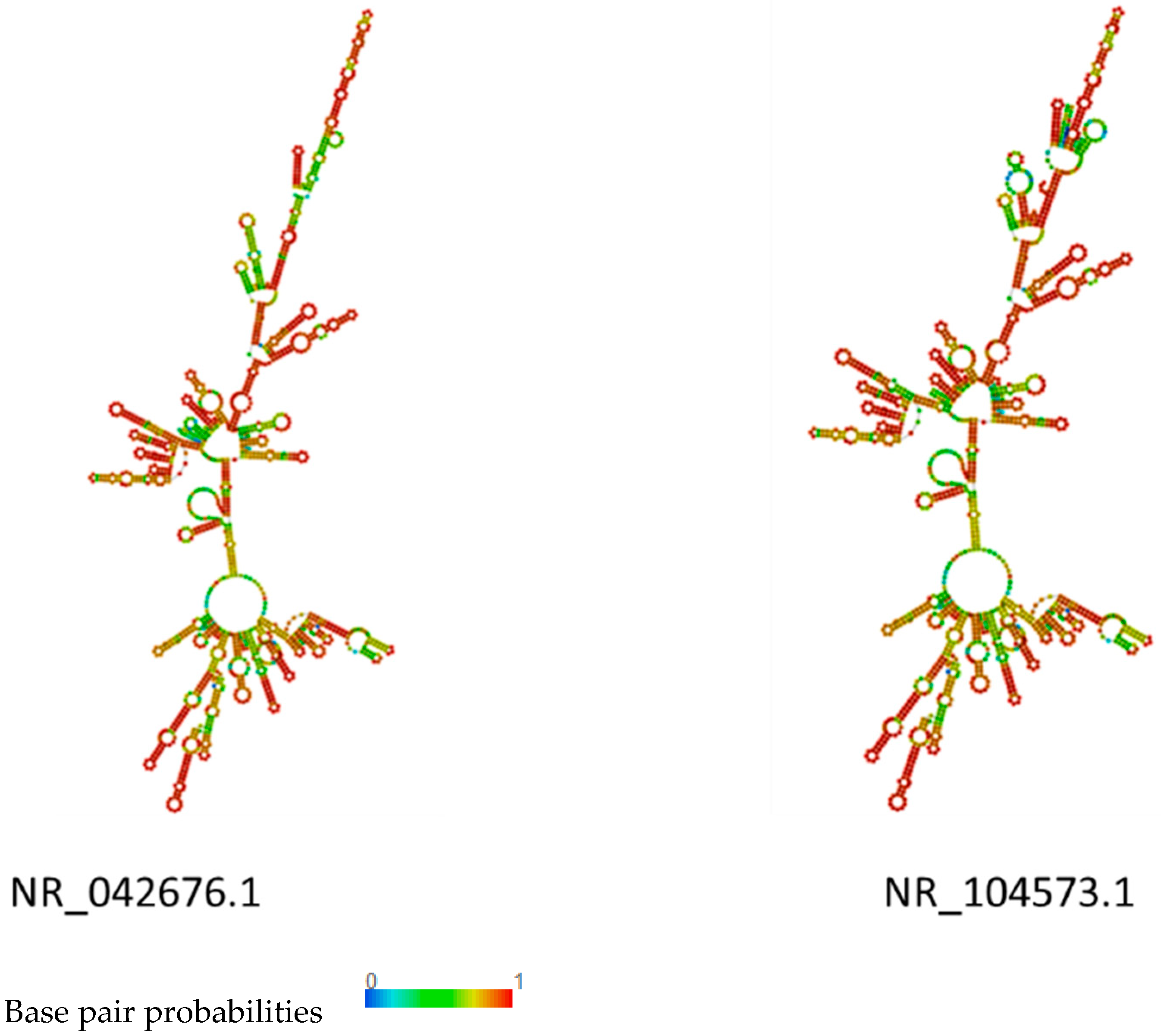 Fermentation 09 00727 g004