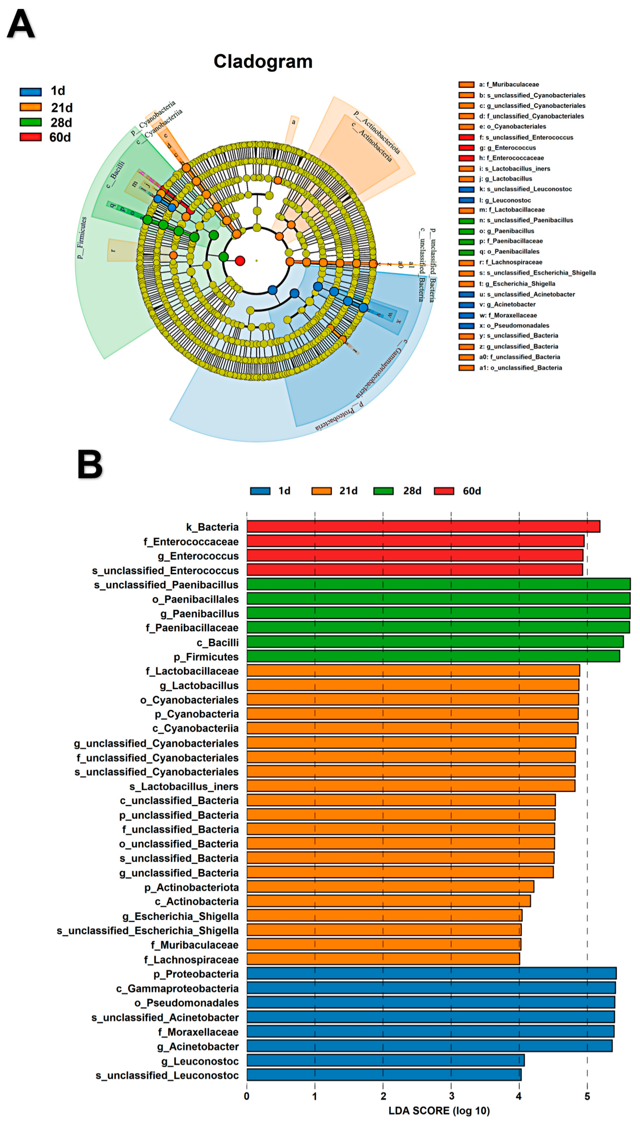Fermentation 09 00733 g005 Fermentation 09 00733 g005