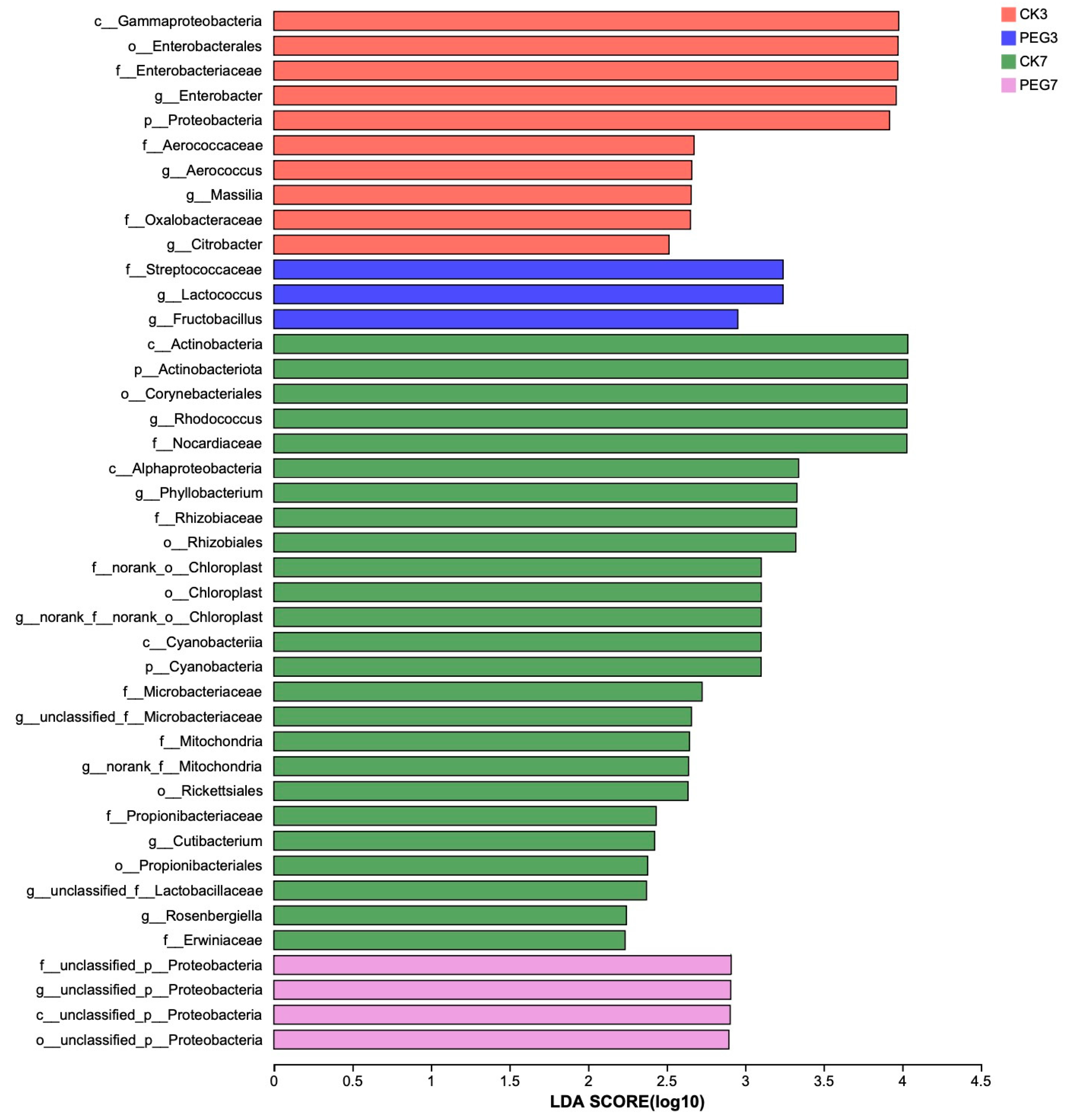 Fermentation 09 00739 g001 Fermentation 09 00739 g001