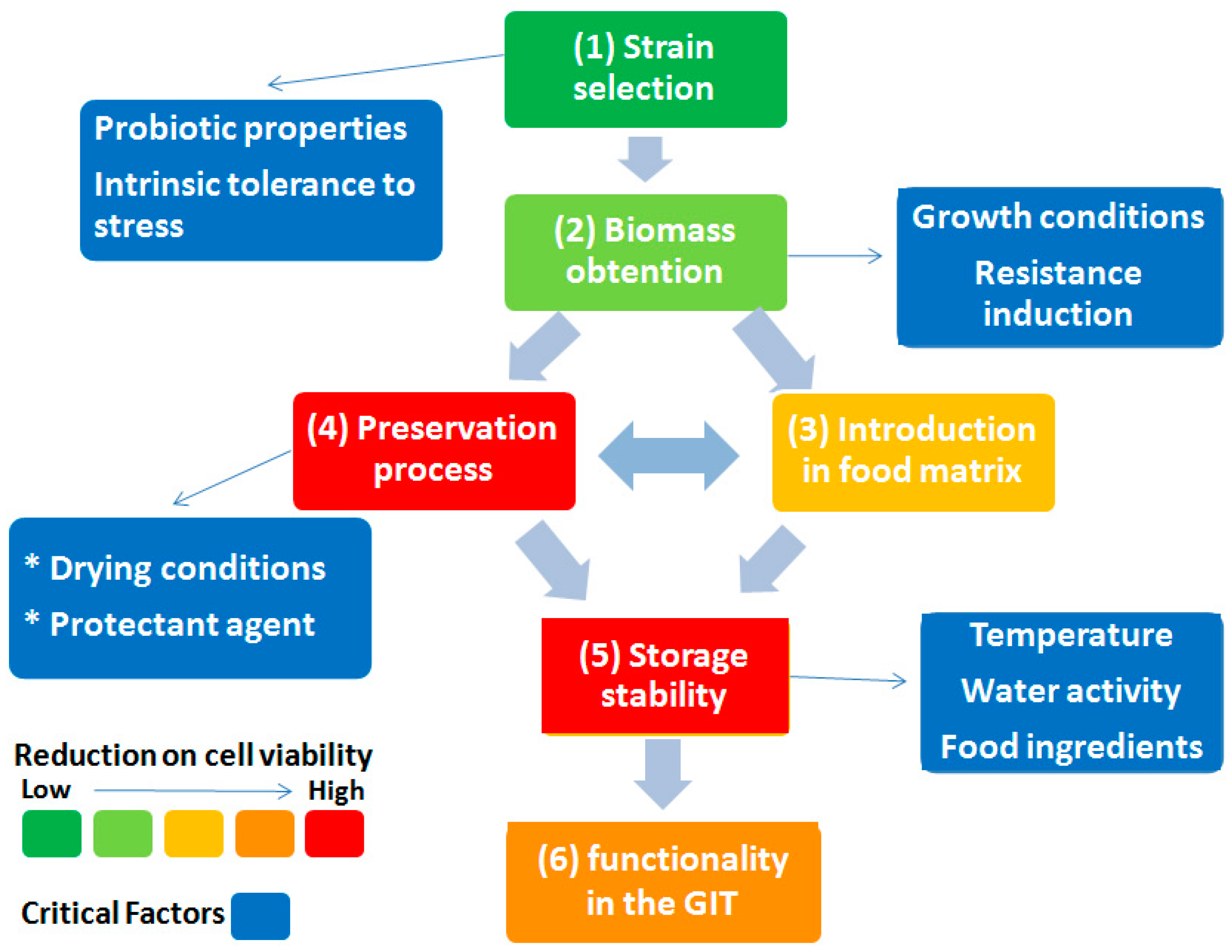 Fermentation 09 00742 g001 Fermentation 09 00742 g001