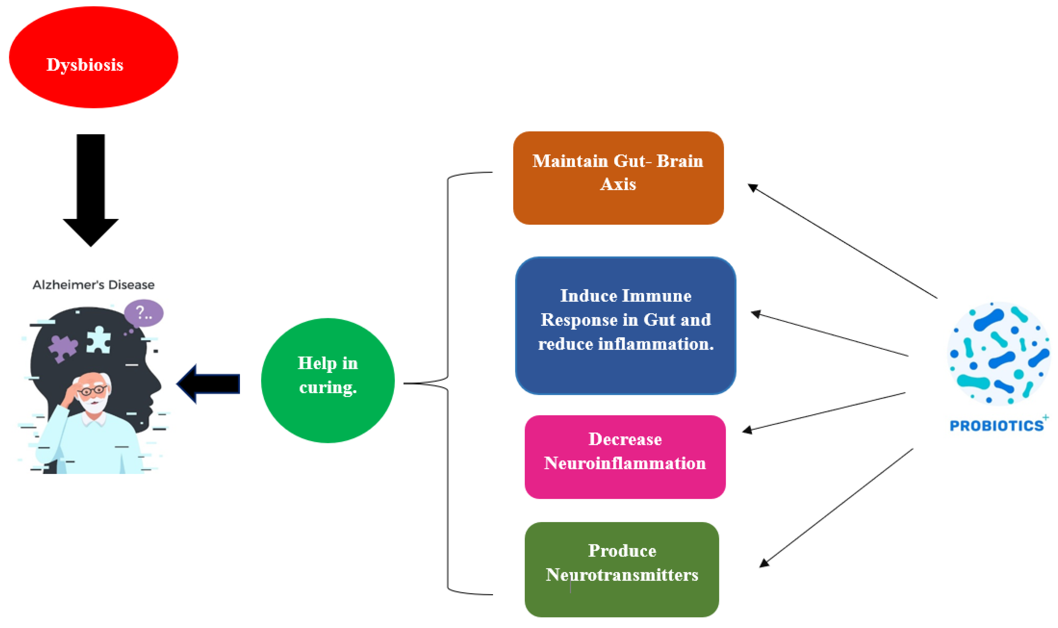 Fermentation 09 00762 g004