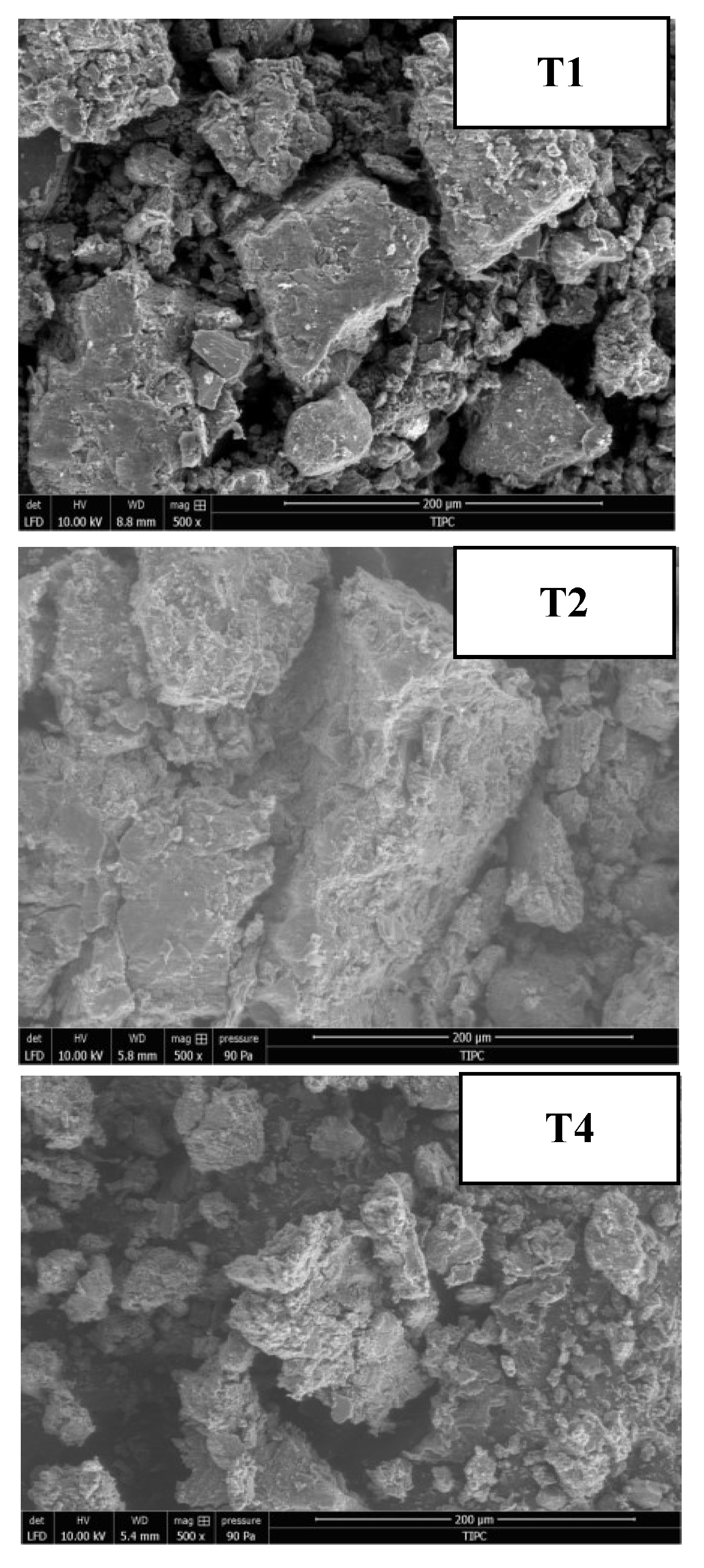 Fermentation 09 00776 g005