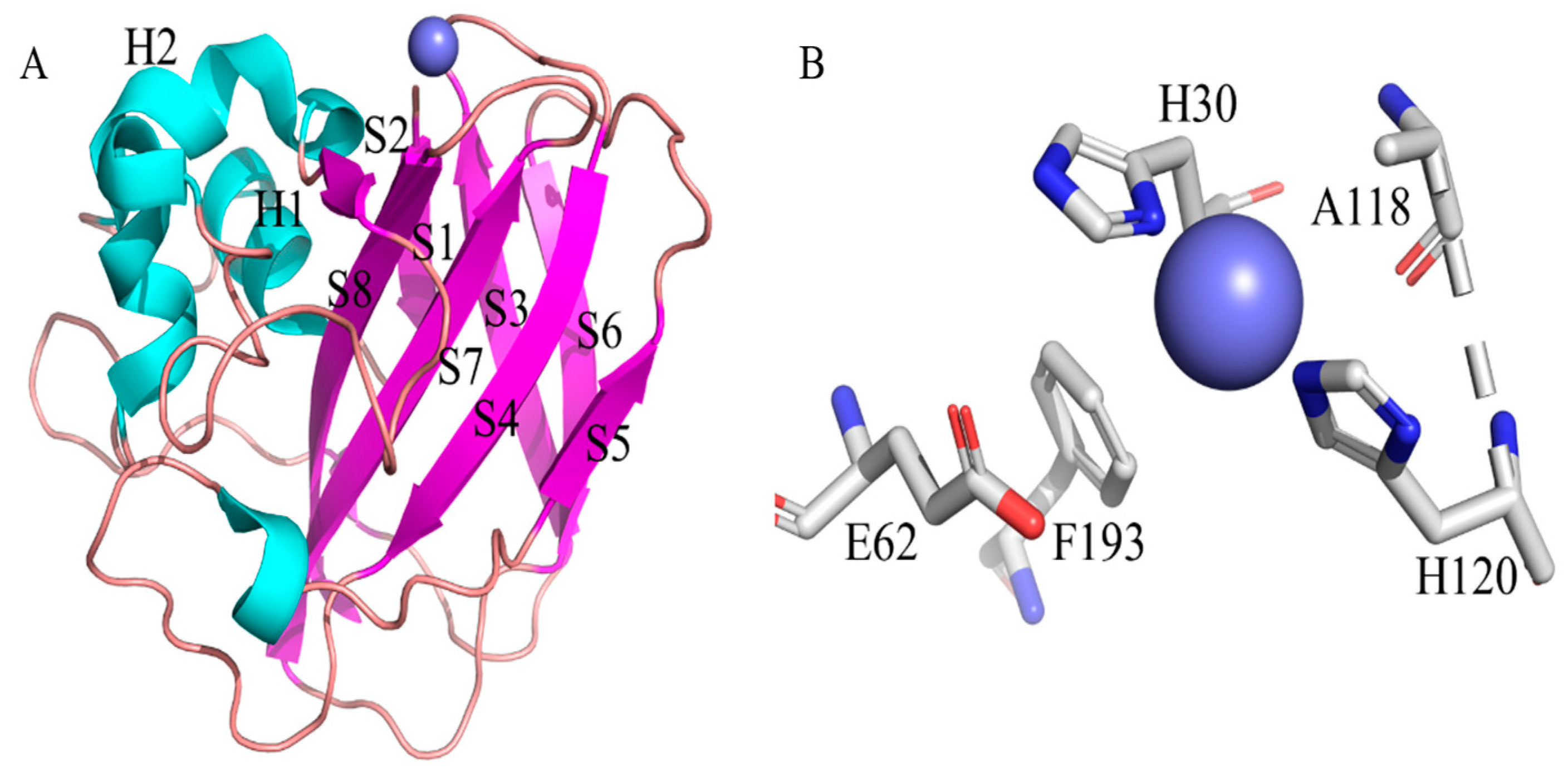 Fermentation 09 00795 g001 Fermentation 09 00795 g001