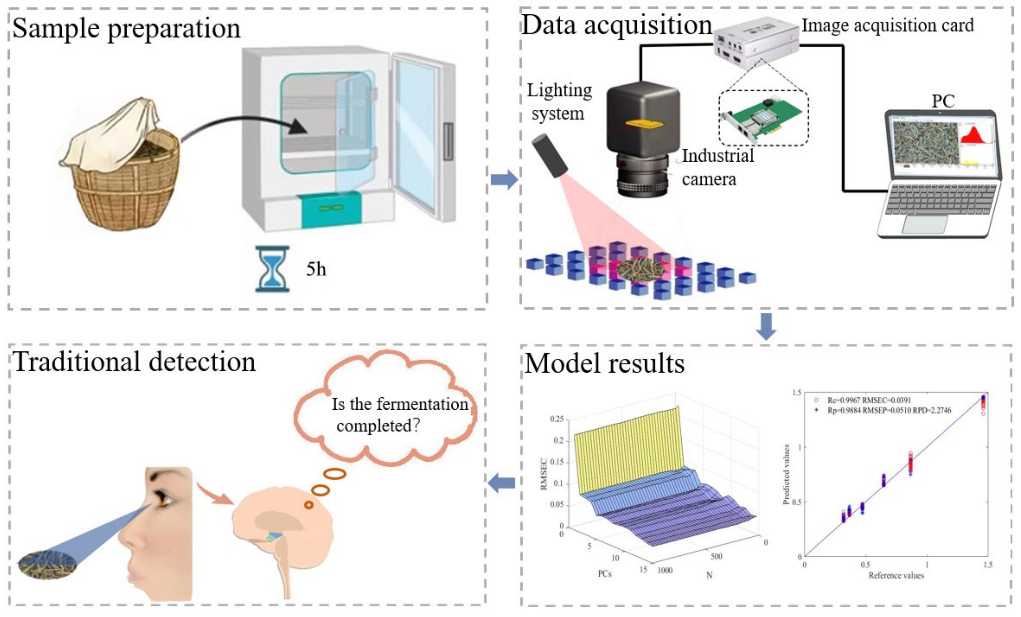 Fermentation 09 00814 g001
