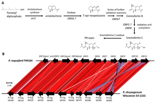 Epipolythiodioxopiperazine‐Based Natural Products: Building Blocks,  Biosynthesis and Biological Activities - Huber - 2022 - ChemBioChem - Wiley  Online Library