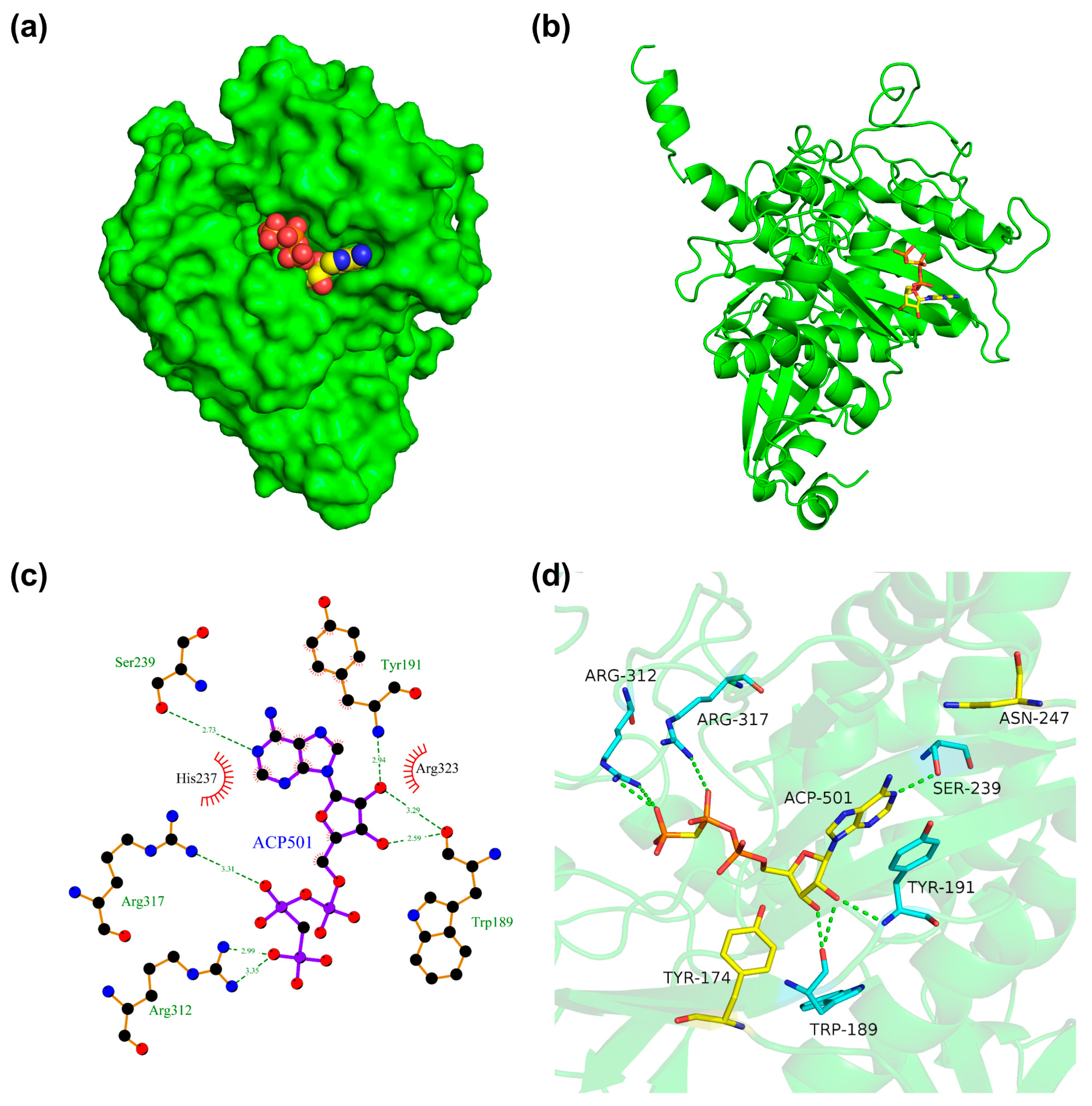 Fermentation 09 00875 g003 Fermentation 09 00875 g003