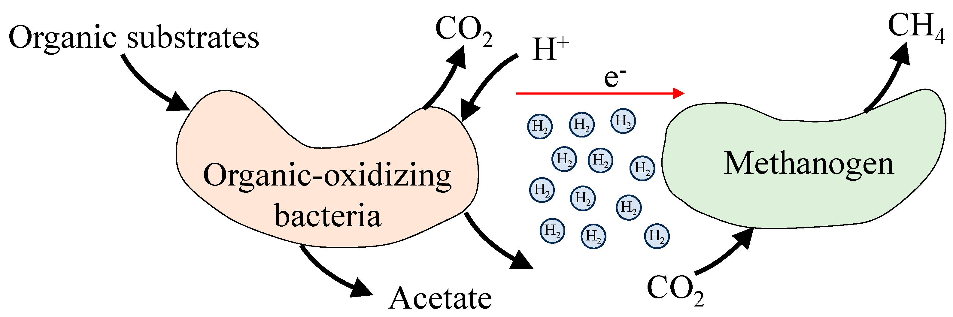 Fermentation 09 00884 g002