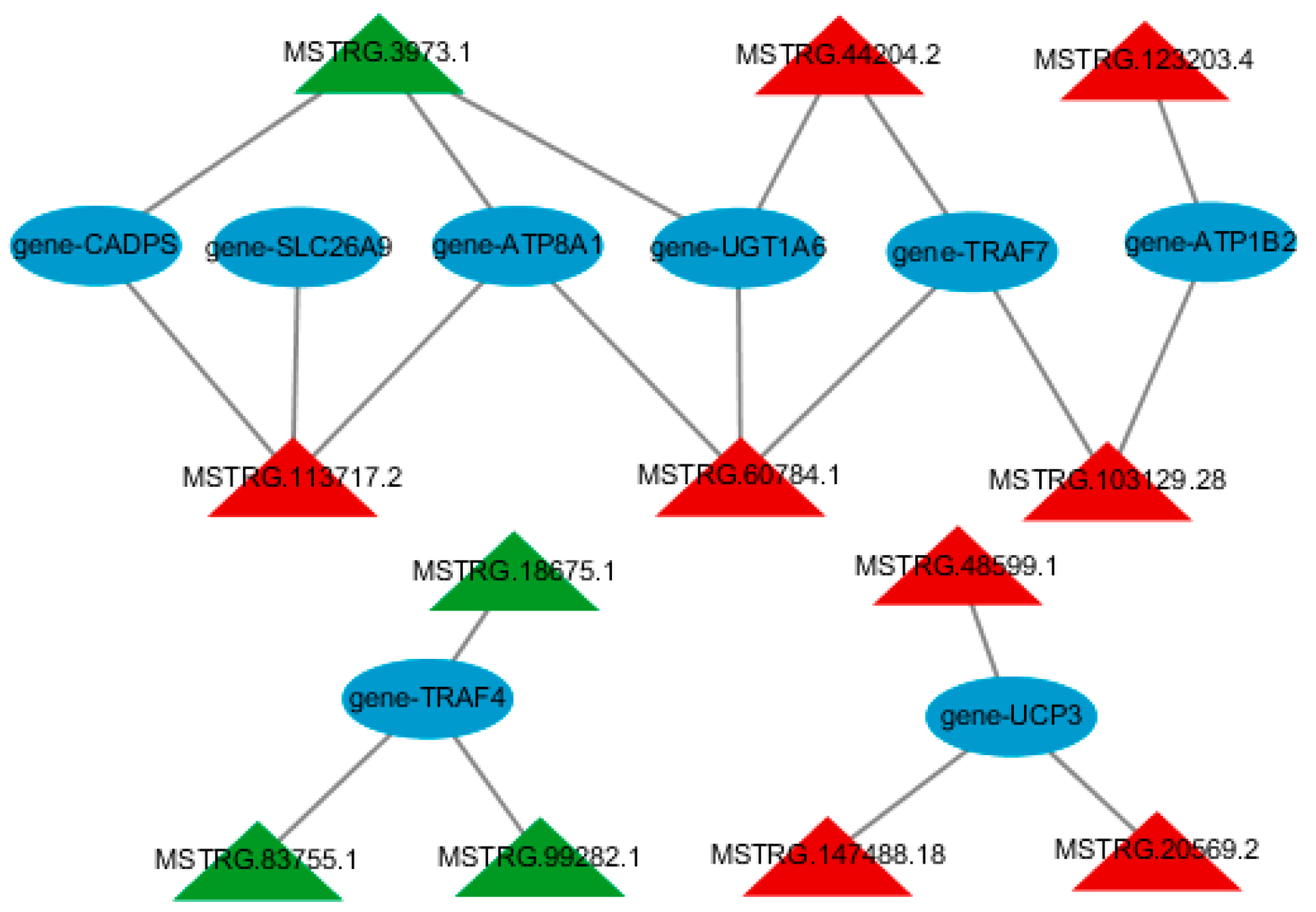 Fermentation 09 00892 g004