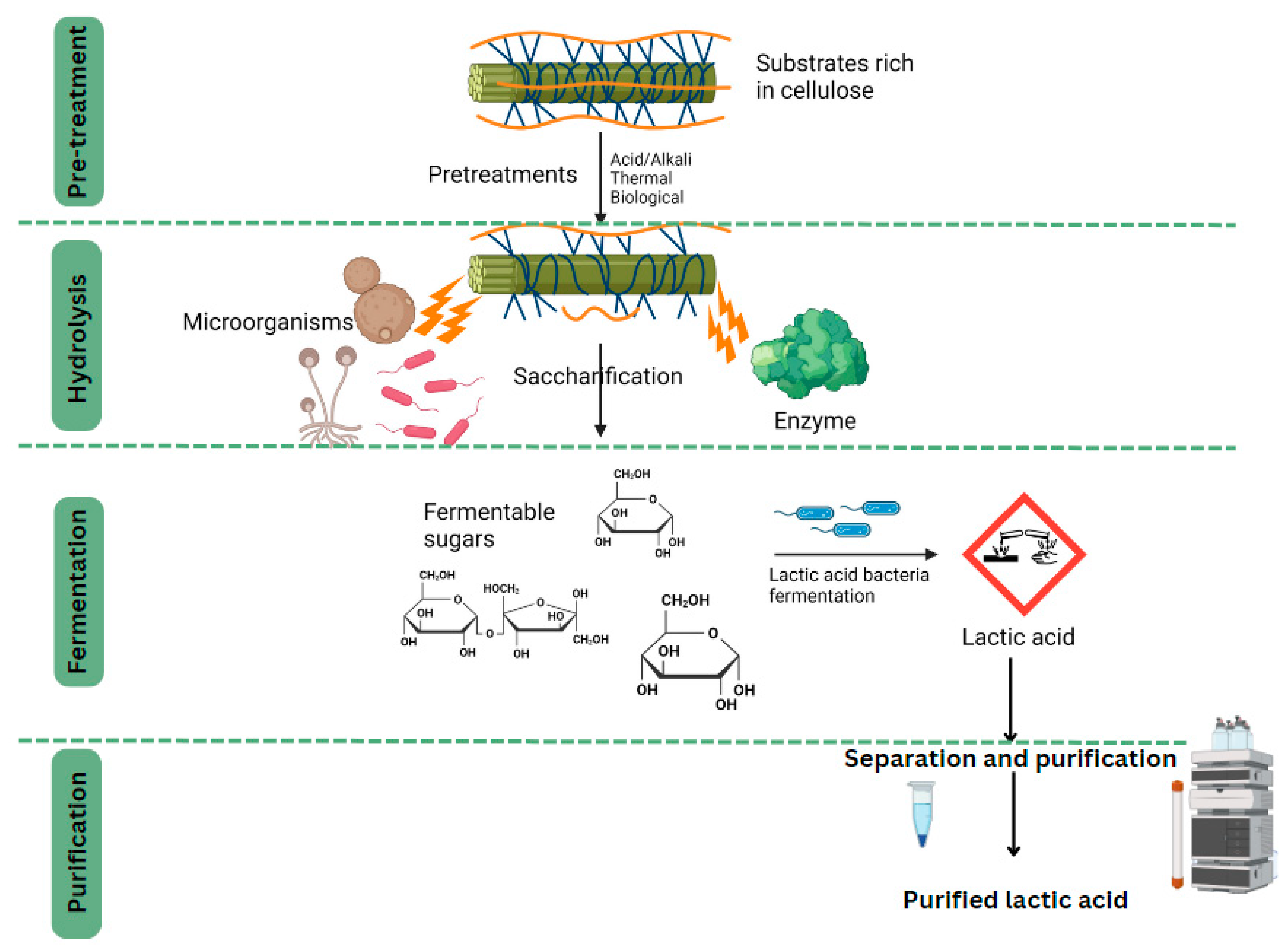 Fermentation 09 00905 g002