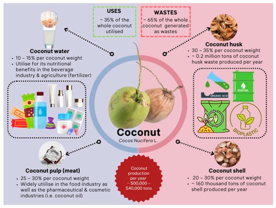Coconut shell – The optimal alternative for fuel material - COCO HITECH