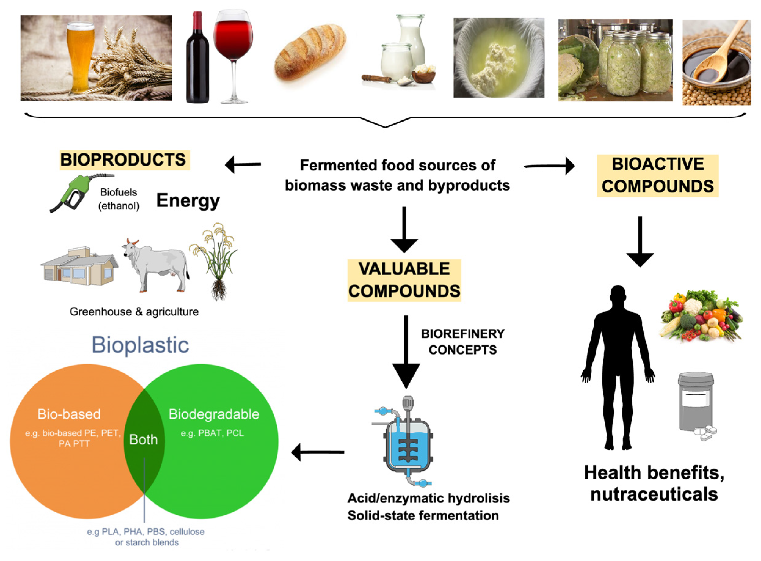 Fermentation | Free Full-Text | Valorization of Fermented Food Wastes and  Byproducts: Bioactive and Valuable Compounds, Bioproduct Synthesis, and  Applications