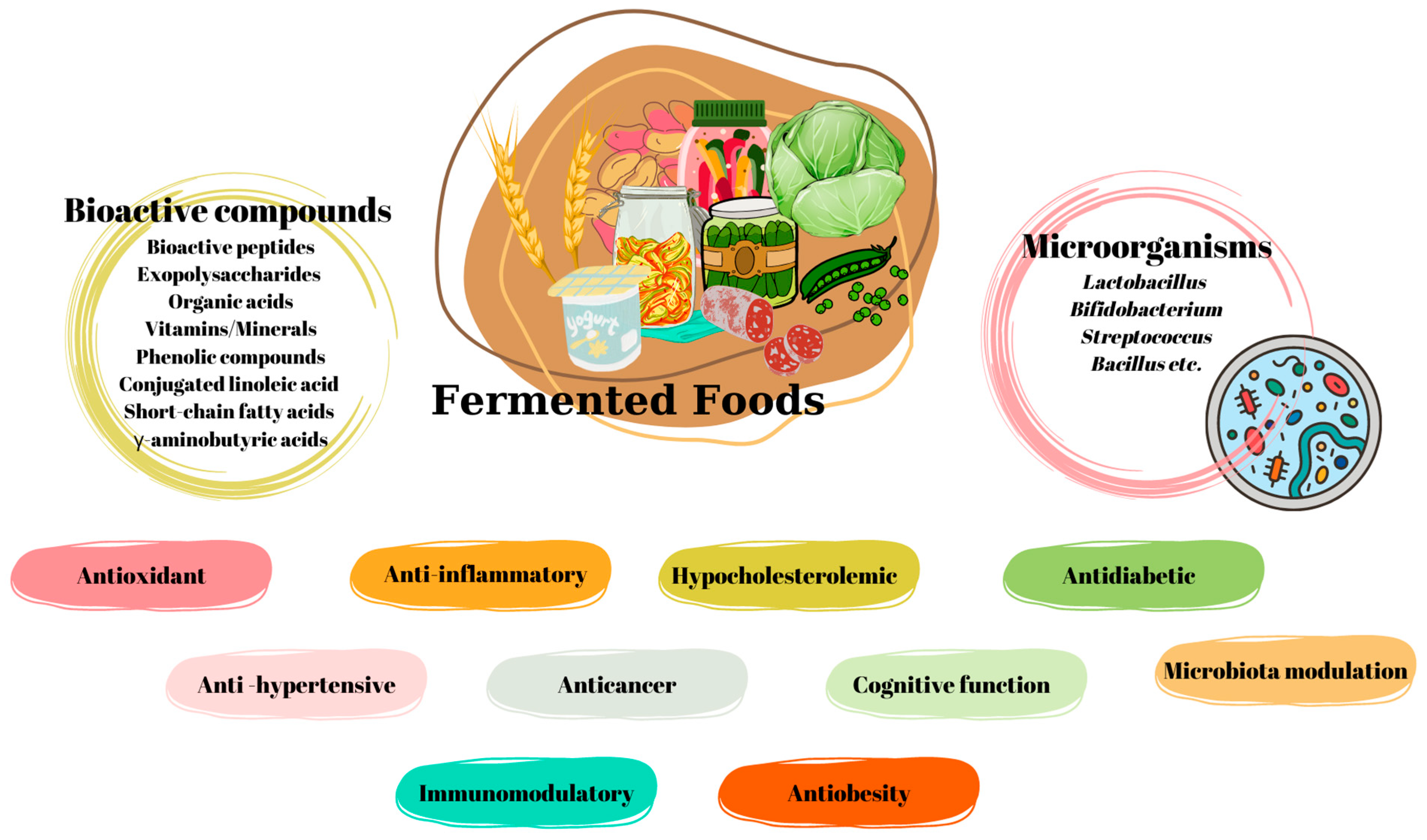 Fermentation | Free Full-Text | Certain Fermented Foods and Their Possible  Health Effects with a Focus on Bioactive Compounds and Microorganisms