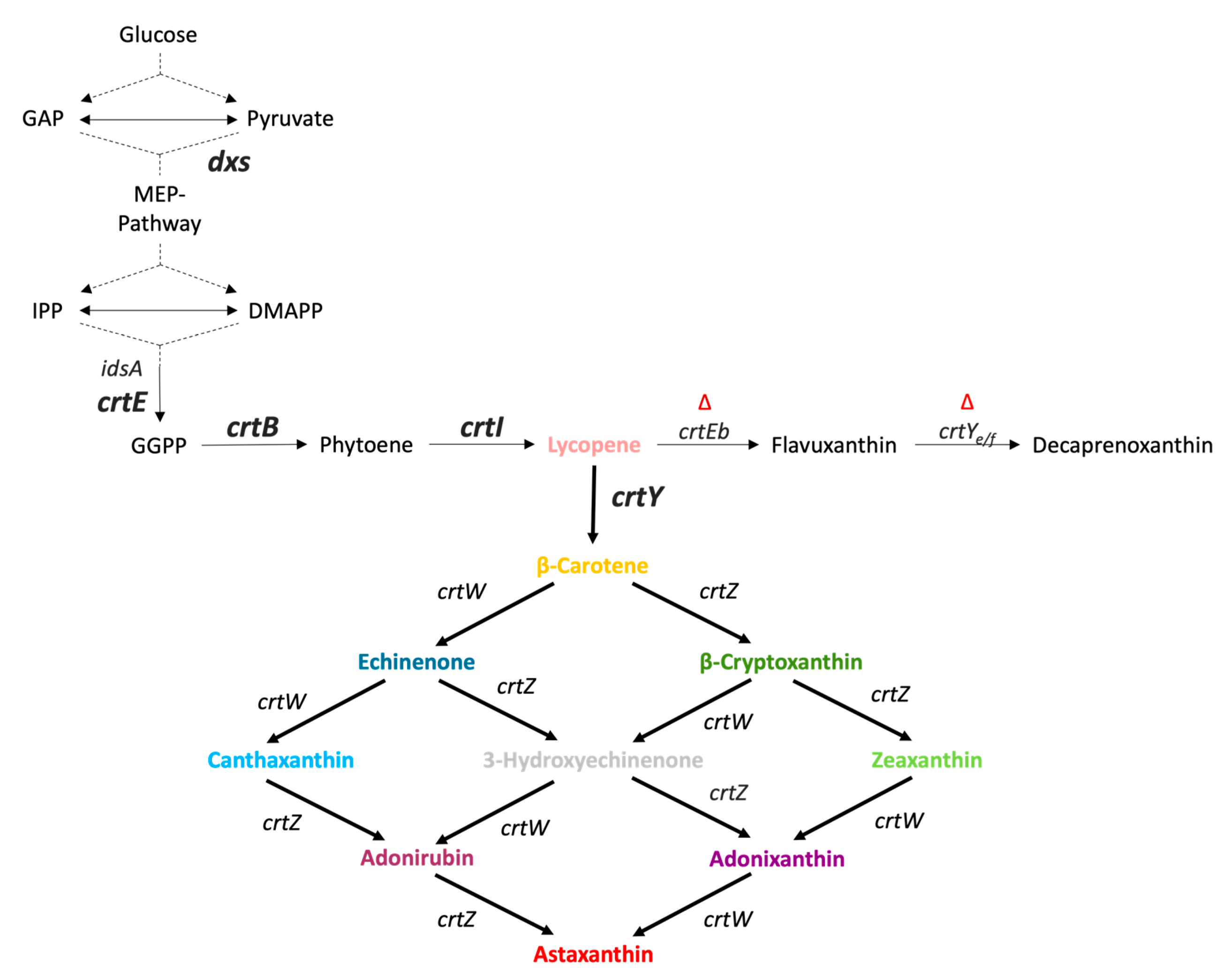 Fermentation 09 00969 g001 Fermentation 09 00969 g001