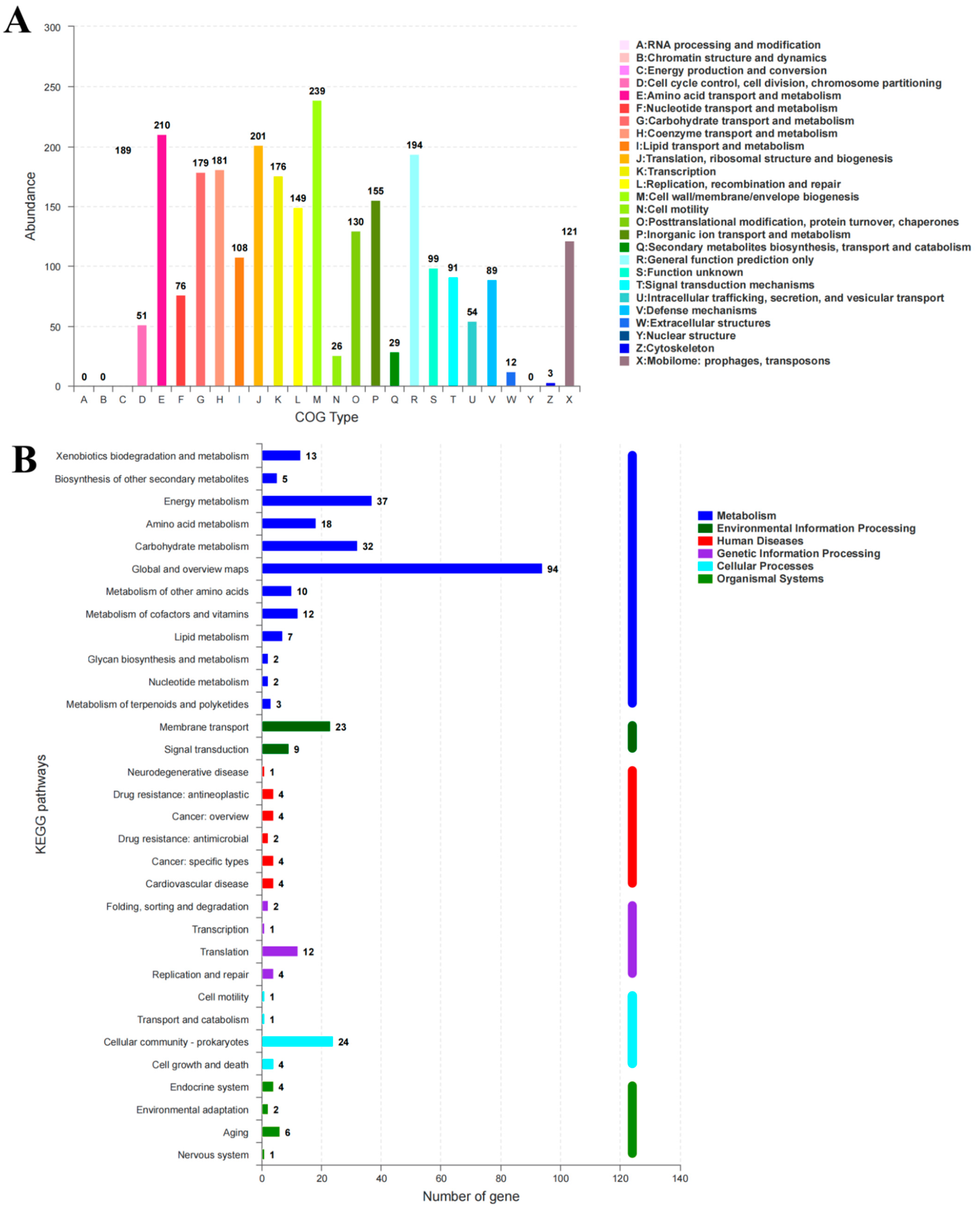 Fermentation 09 00972 g001