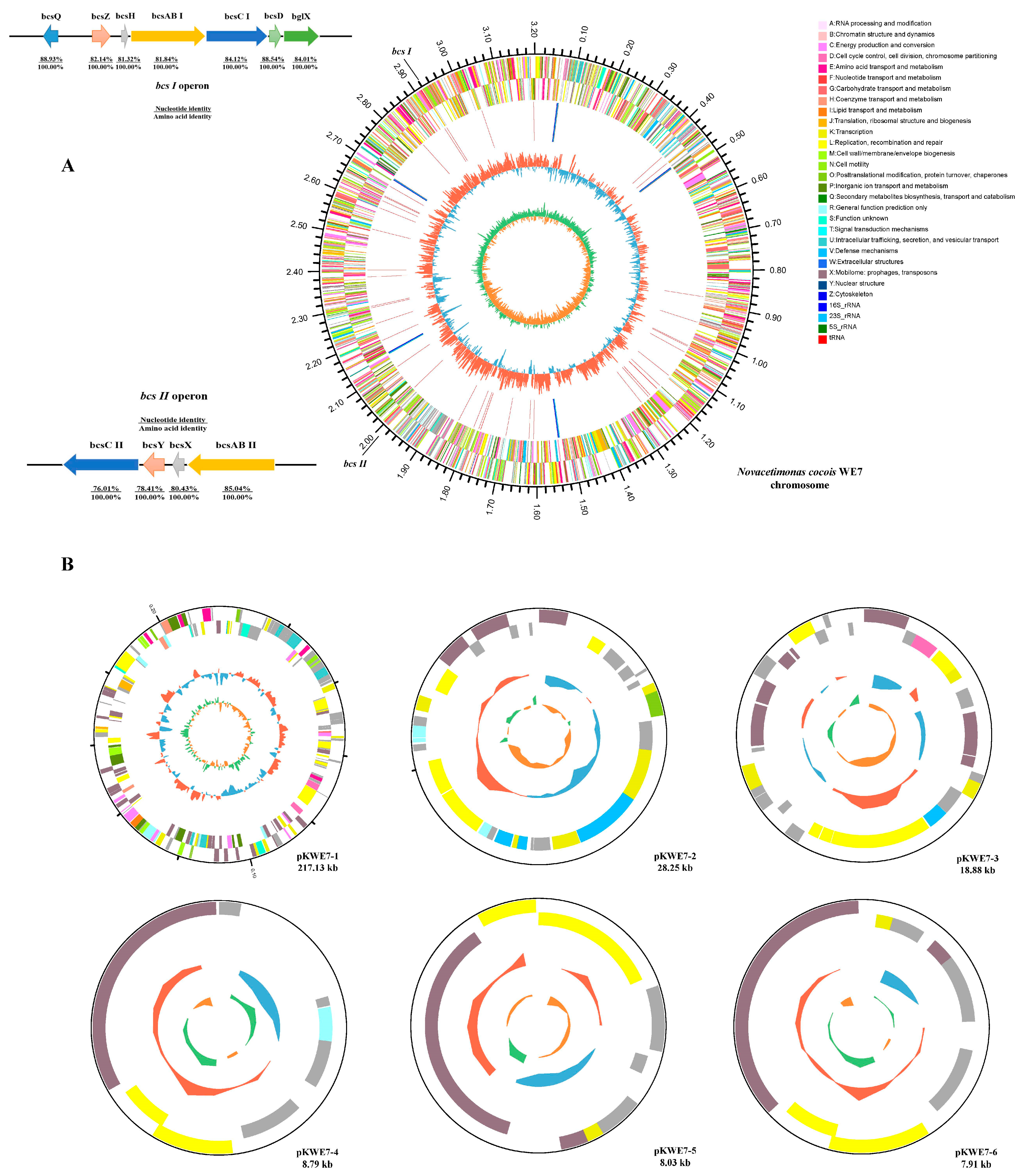 Fermentation 09 00972 g002