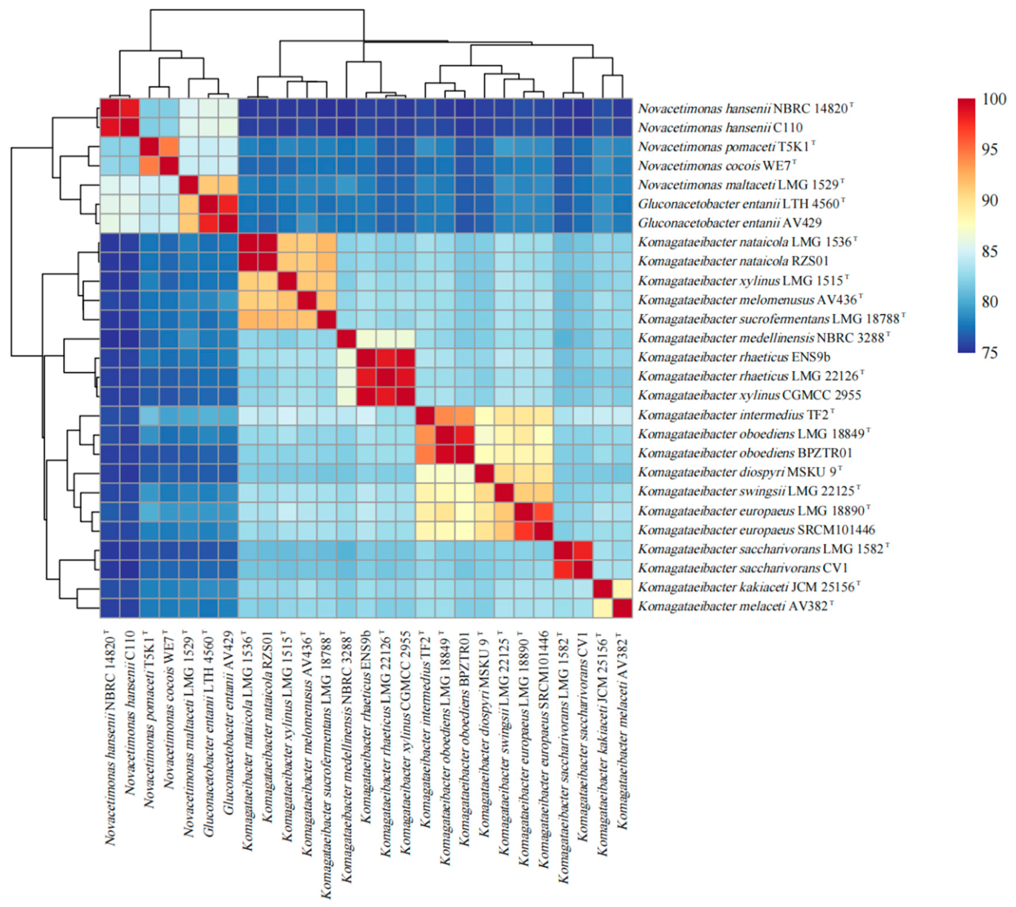 Fermentation 09 00972 g003