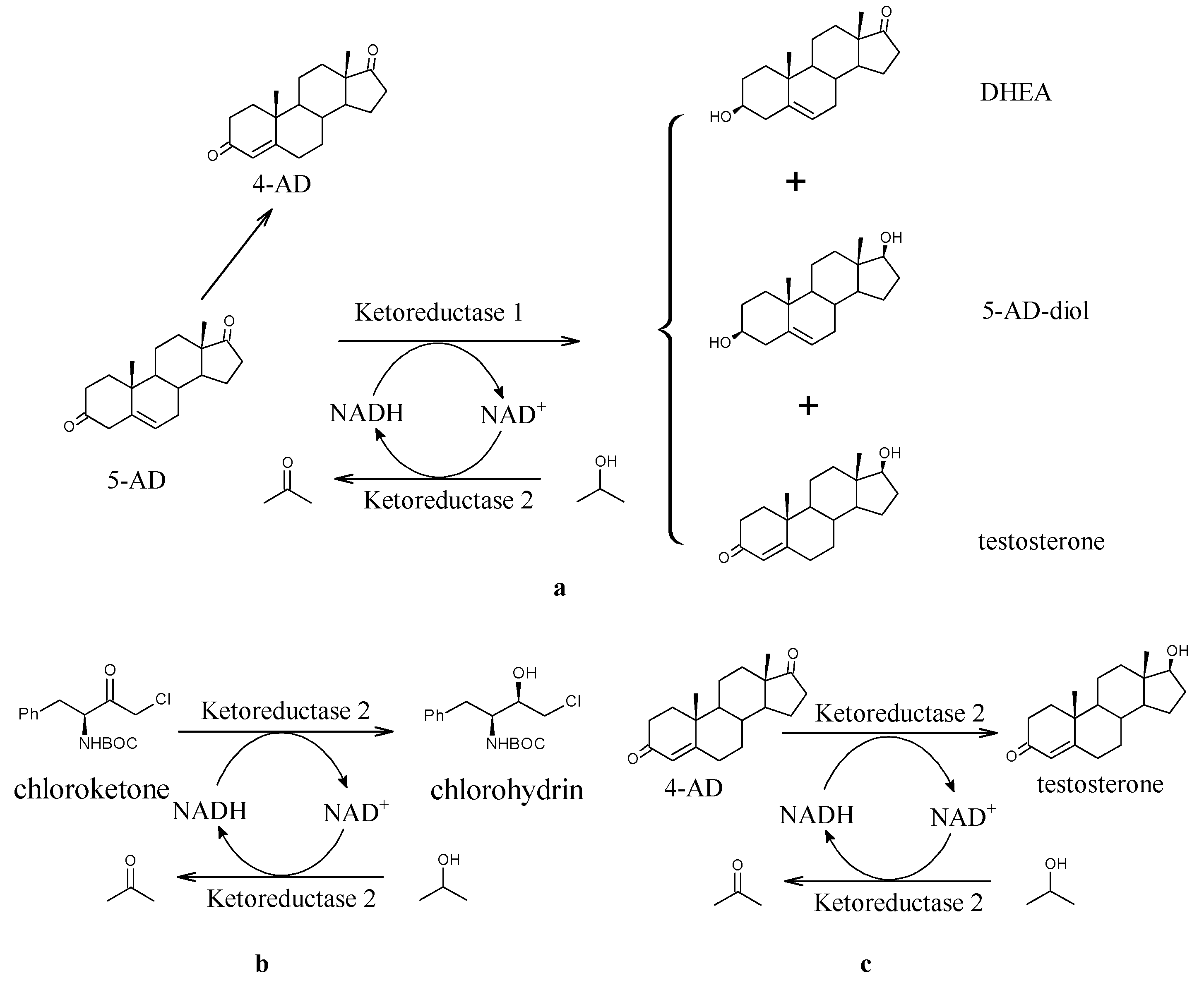 Fermentation 09 00998 g001