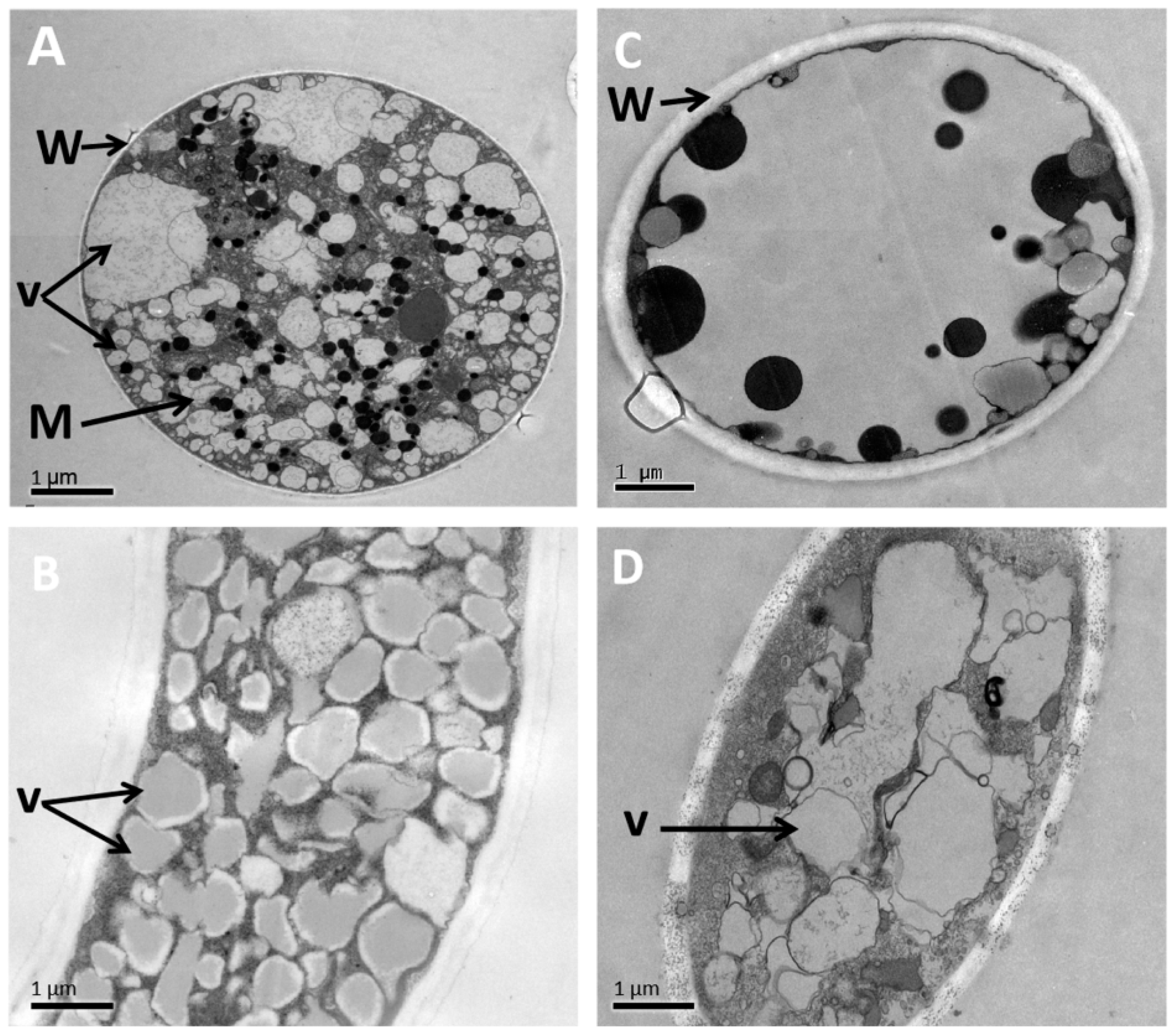 Fermentation 09 01011 g006