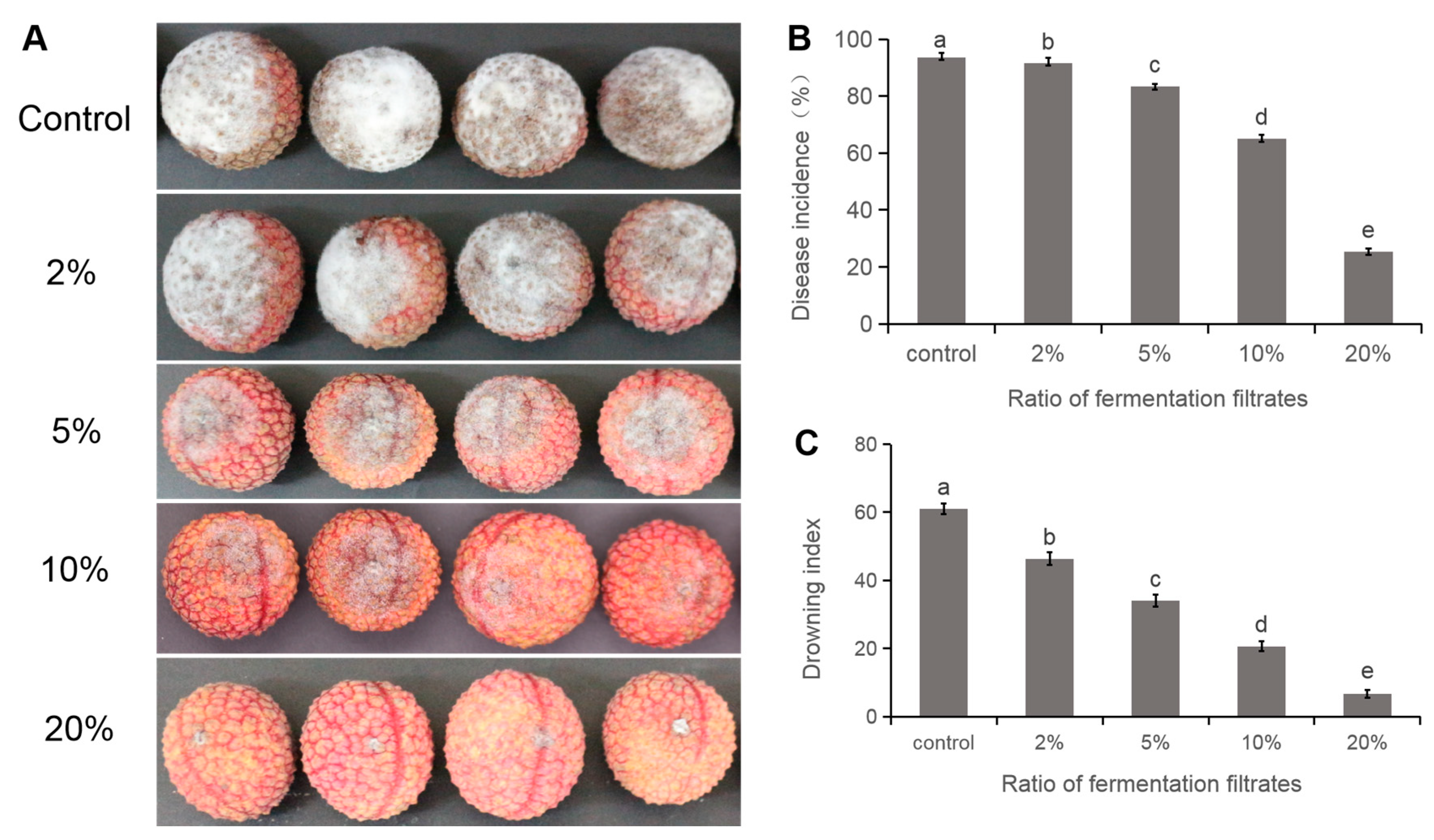Fermentation 09 01011 g008