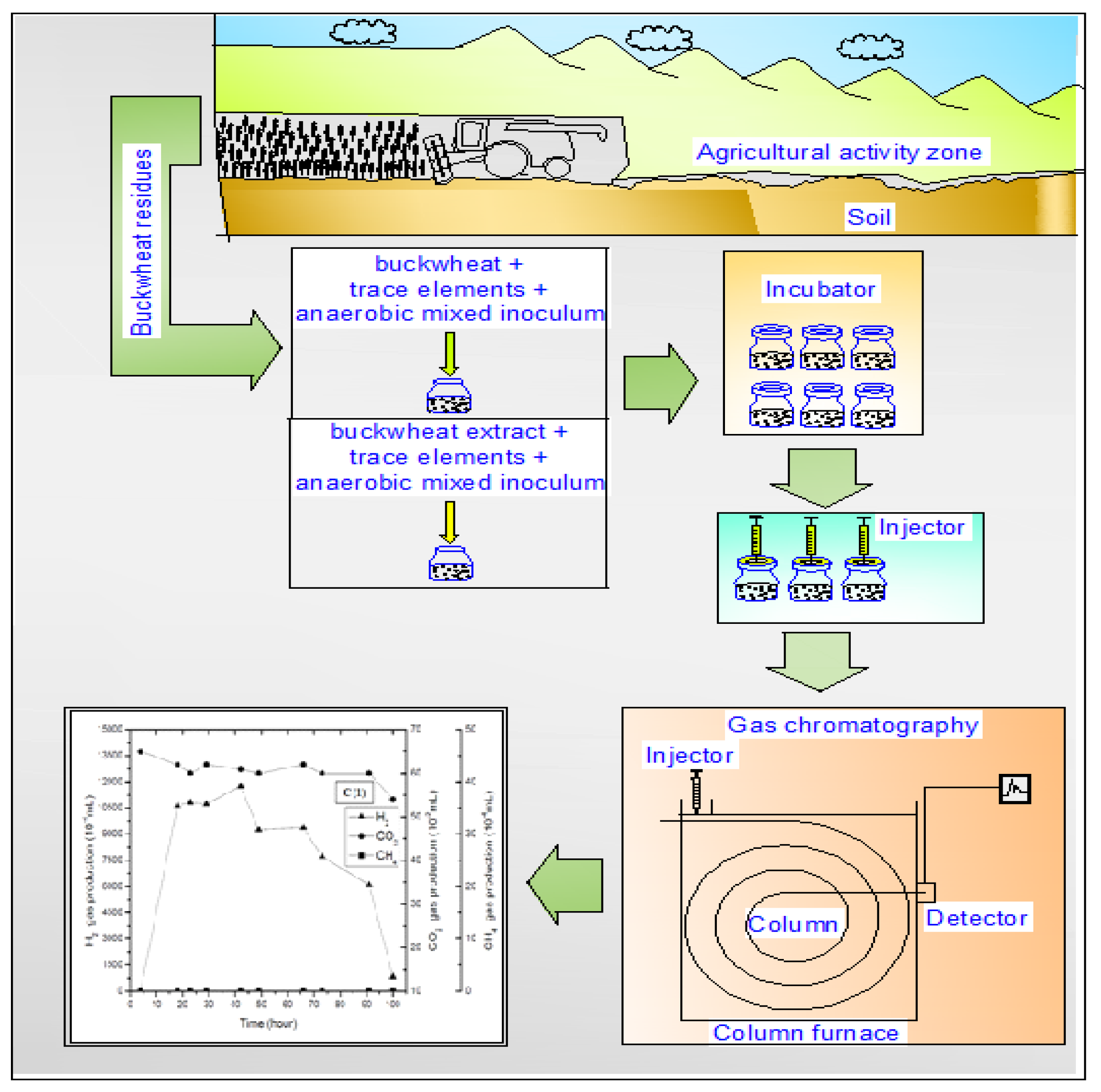 Fermentation Free Full Text Biohydrogen Production from