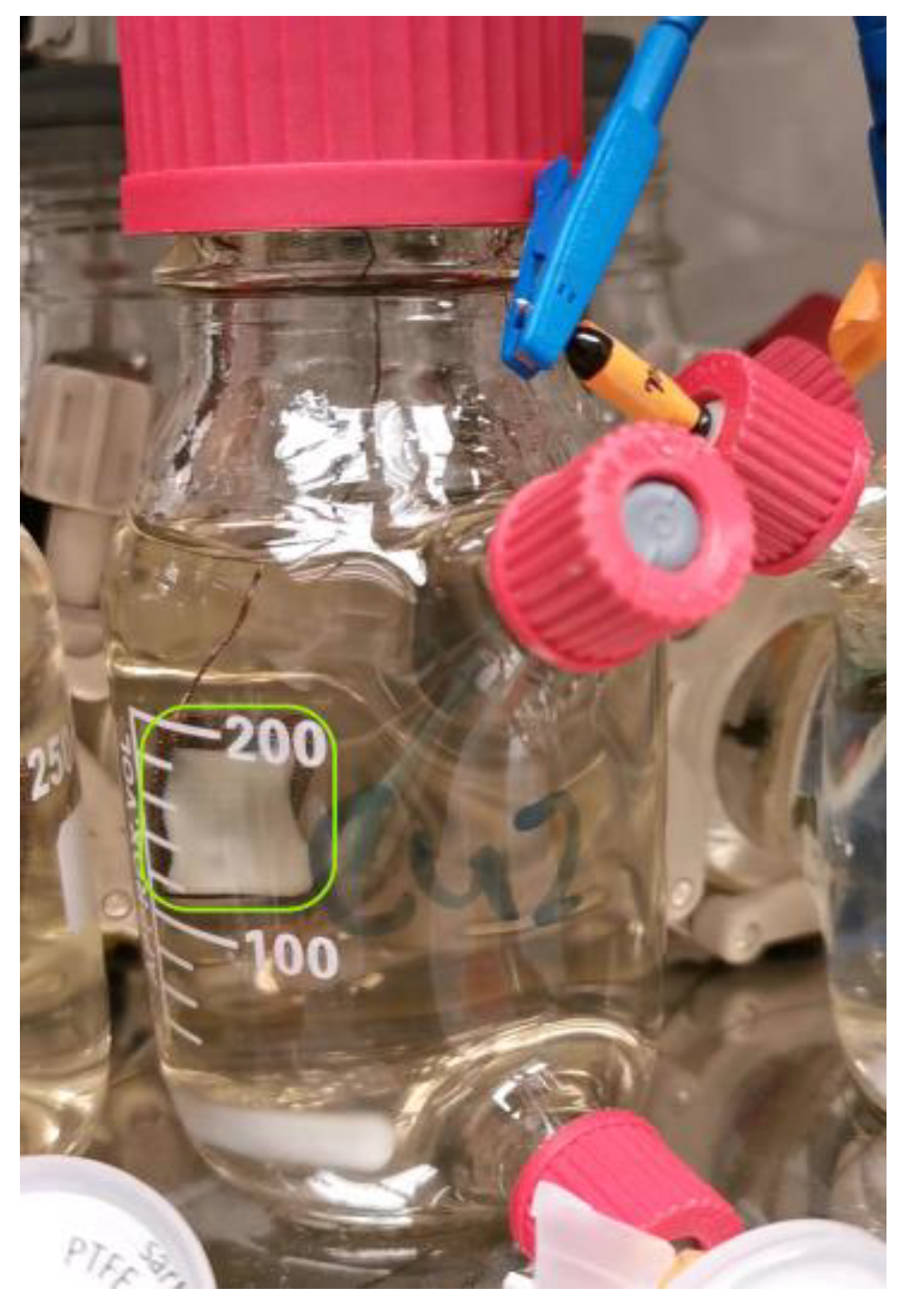 Fermentation 10 00034 g001