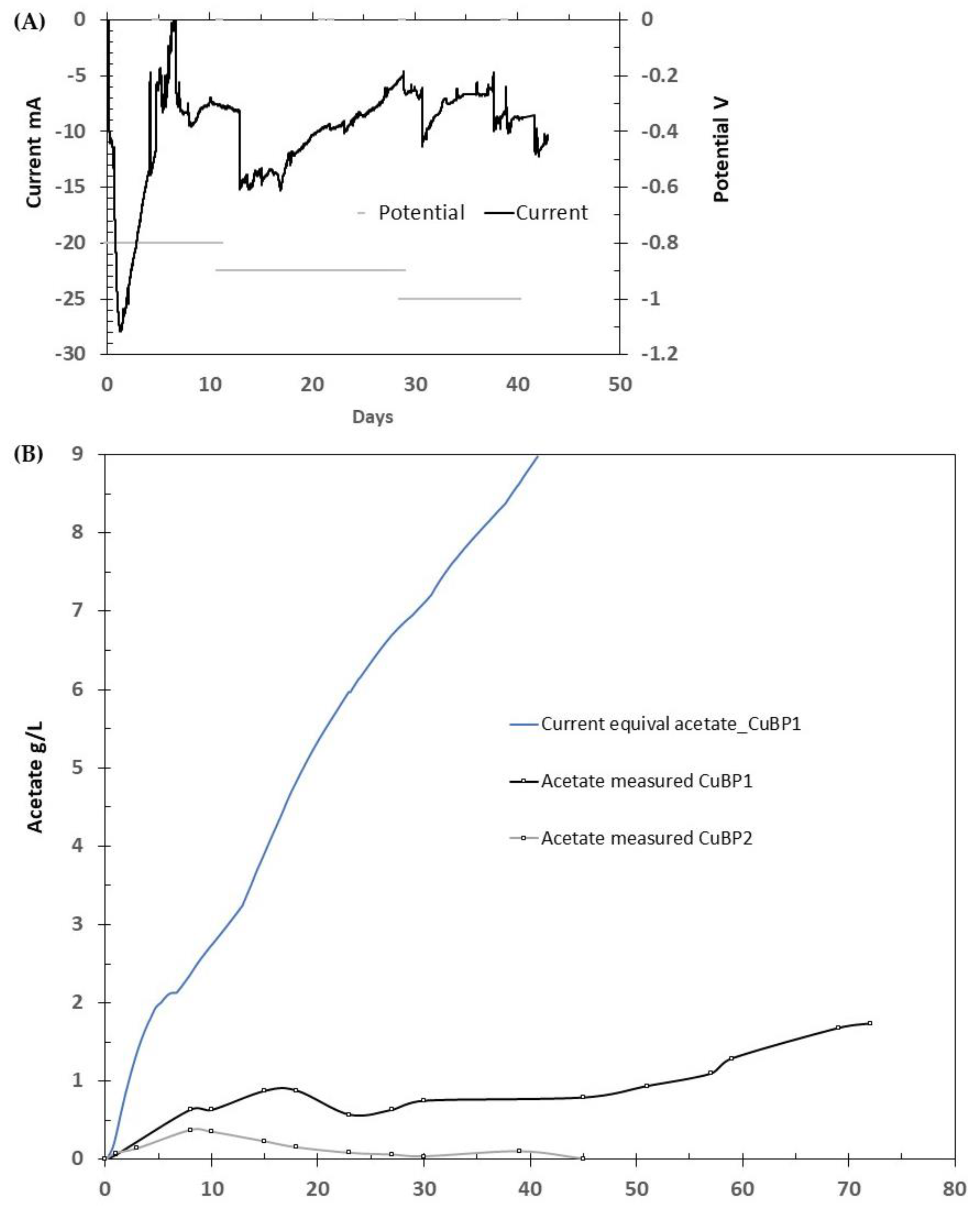Fermentation 10 00034 g002