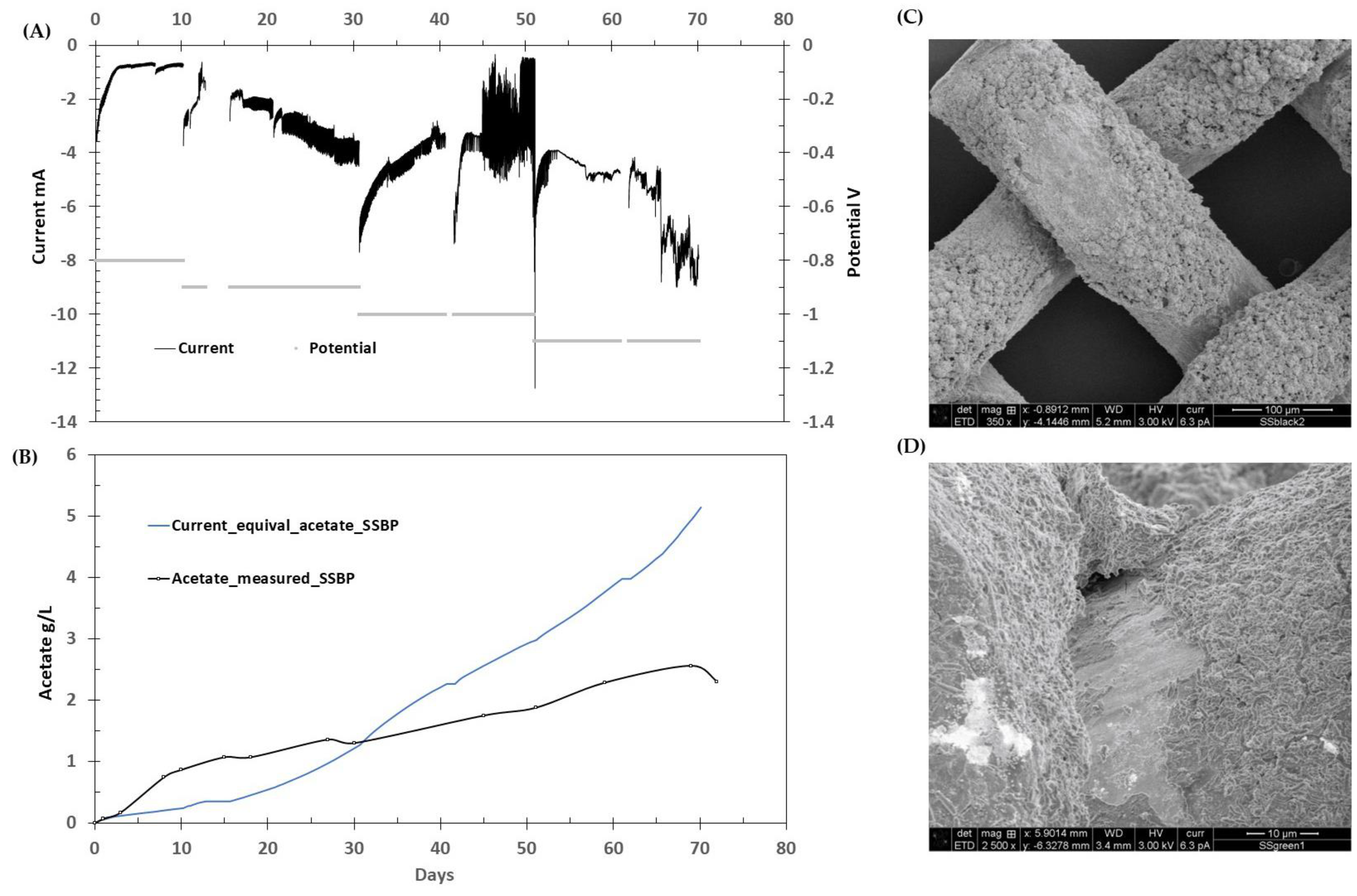 Fermentation 10 00034 g004