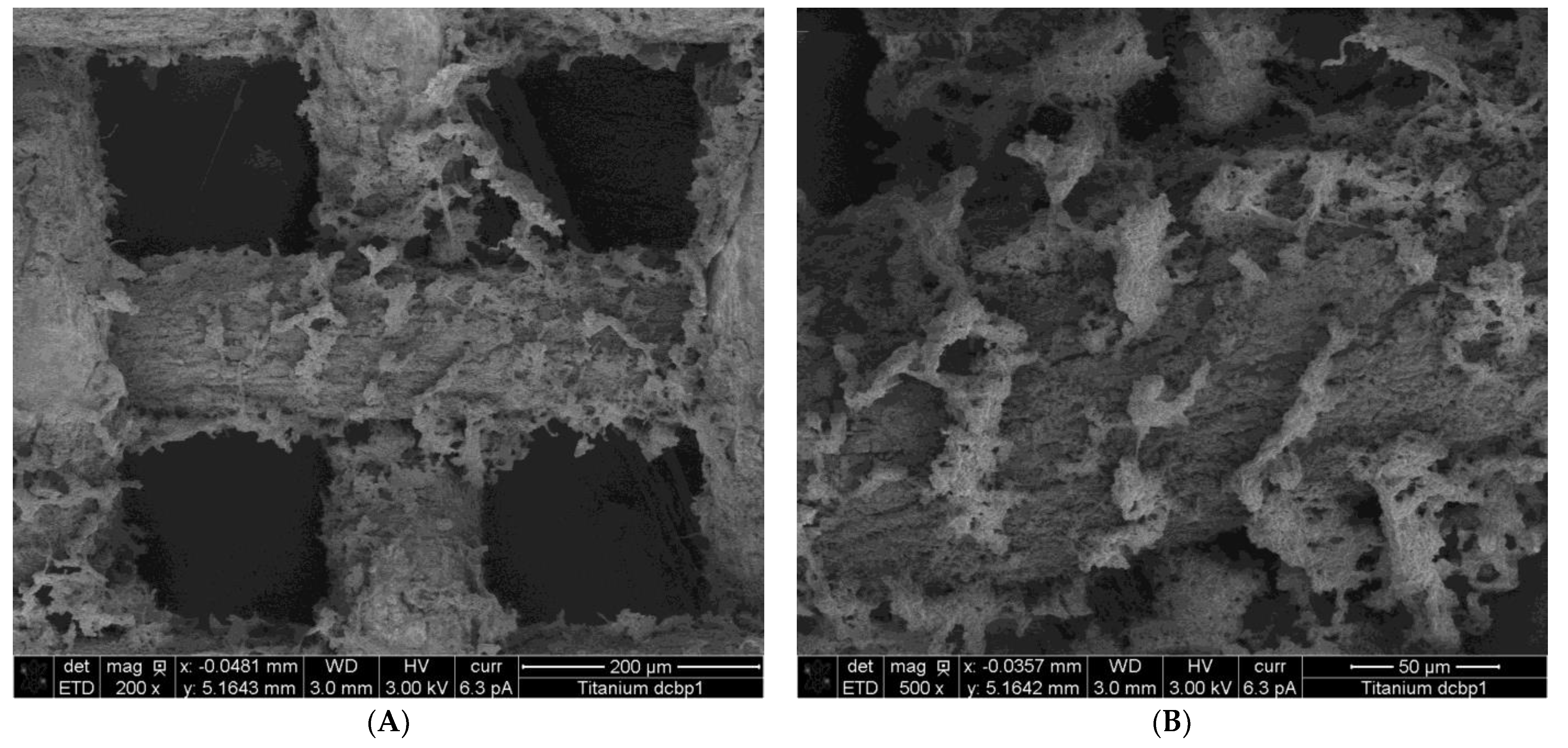 Fermentation 10 00034 g006