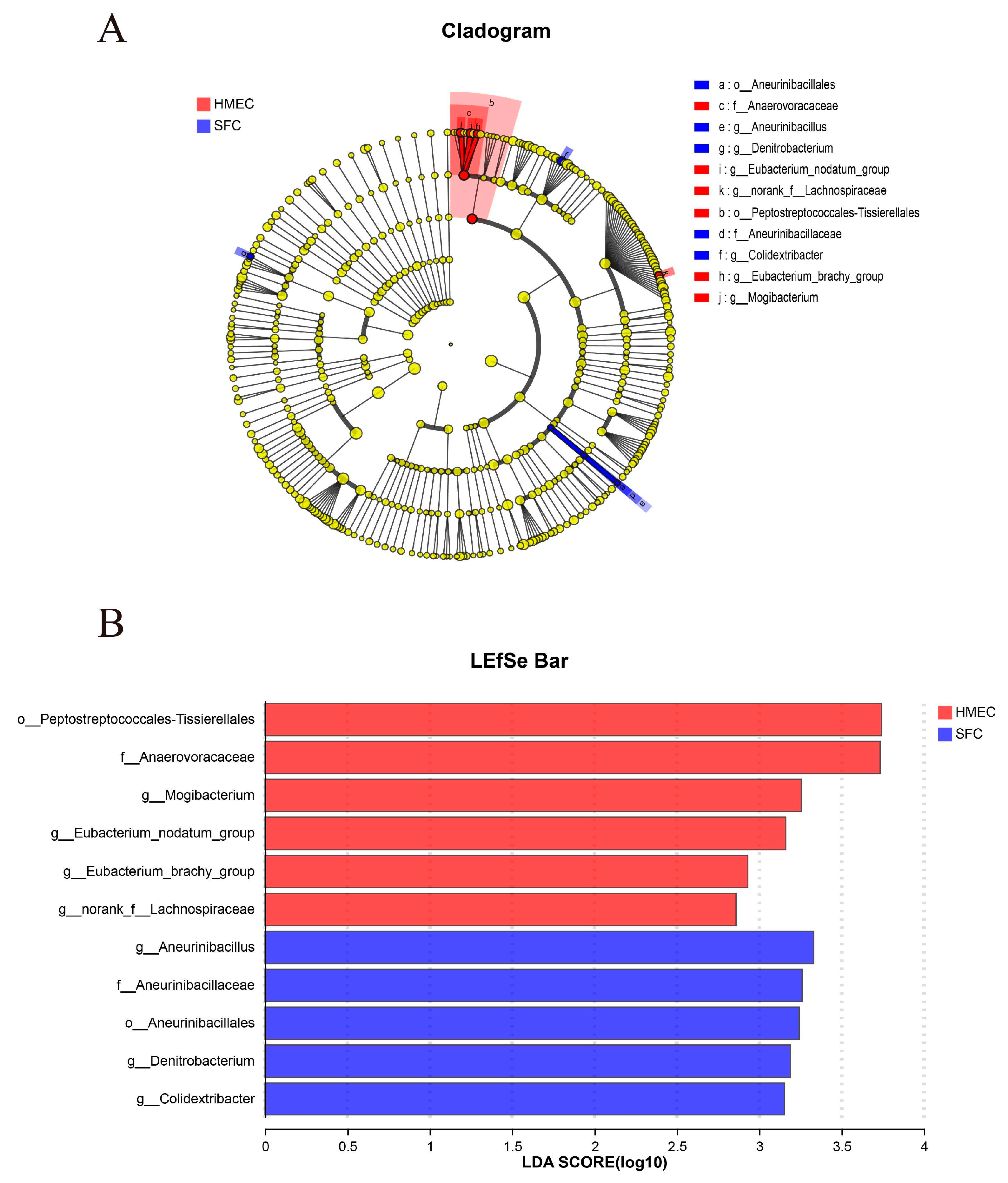 Fermentation 10 00044 g004 Fermentation 10 00044 g004
