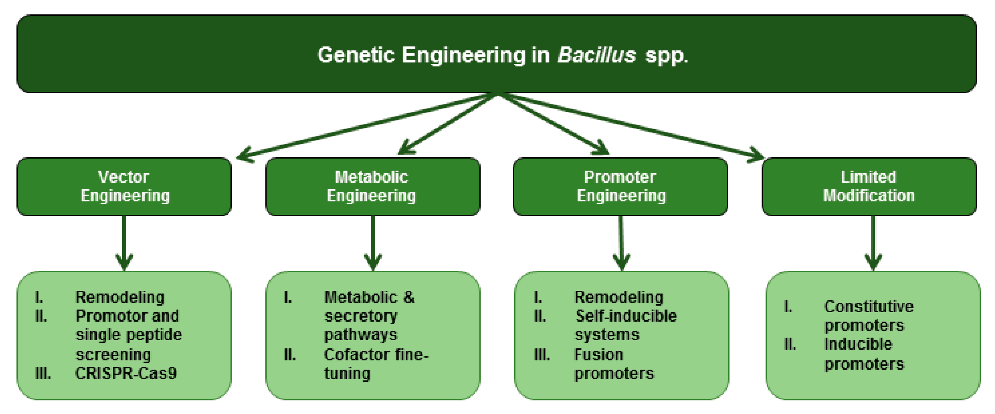 Fermentation 10 00050 g003