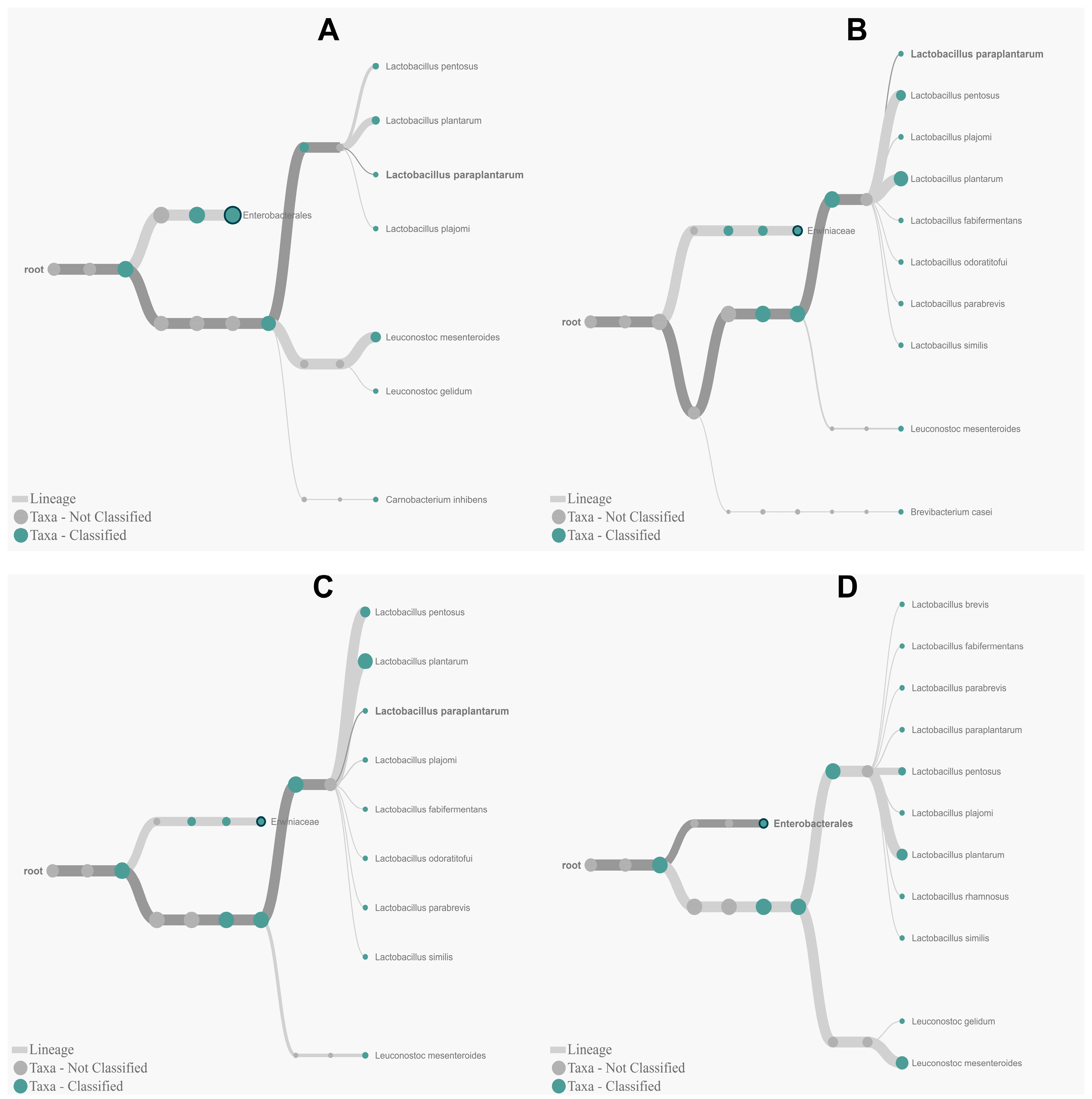 Fermentation 10 00053 g003