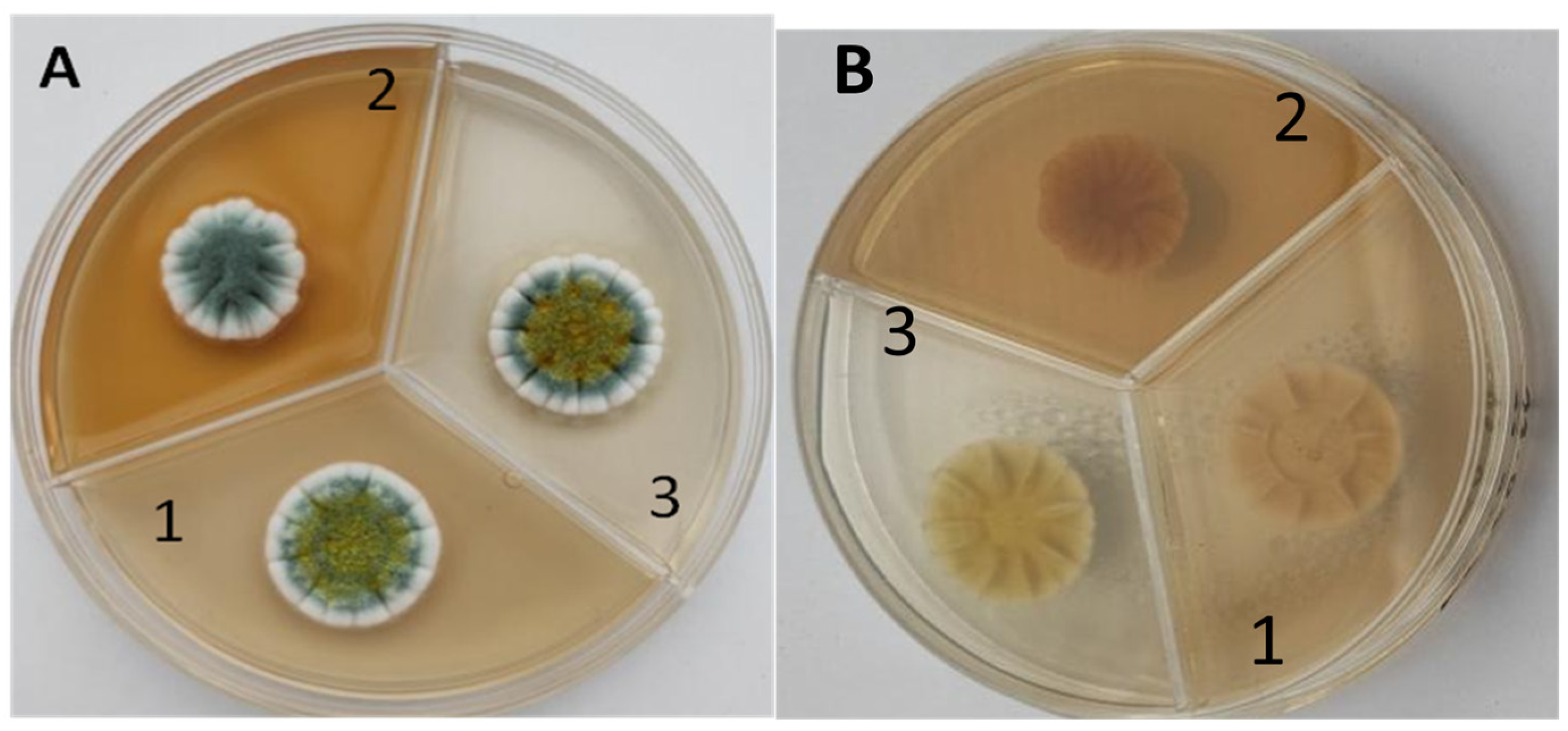Fermentation 10 00058 g004
