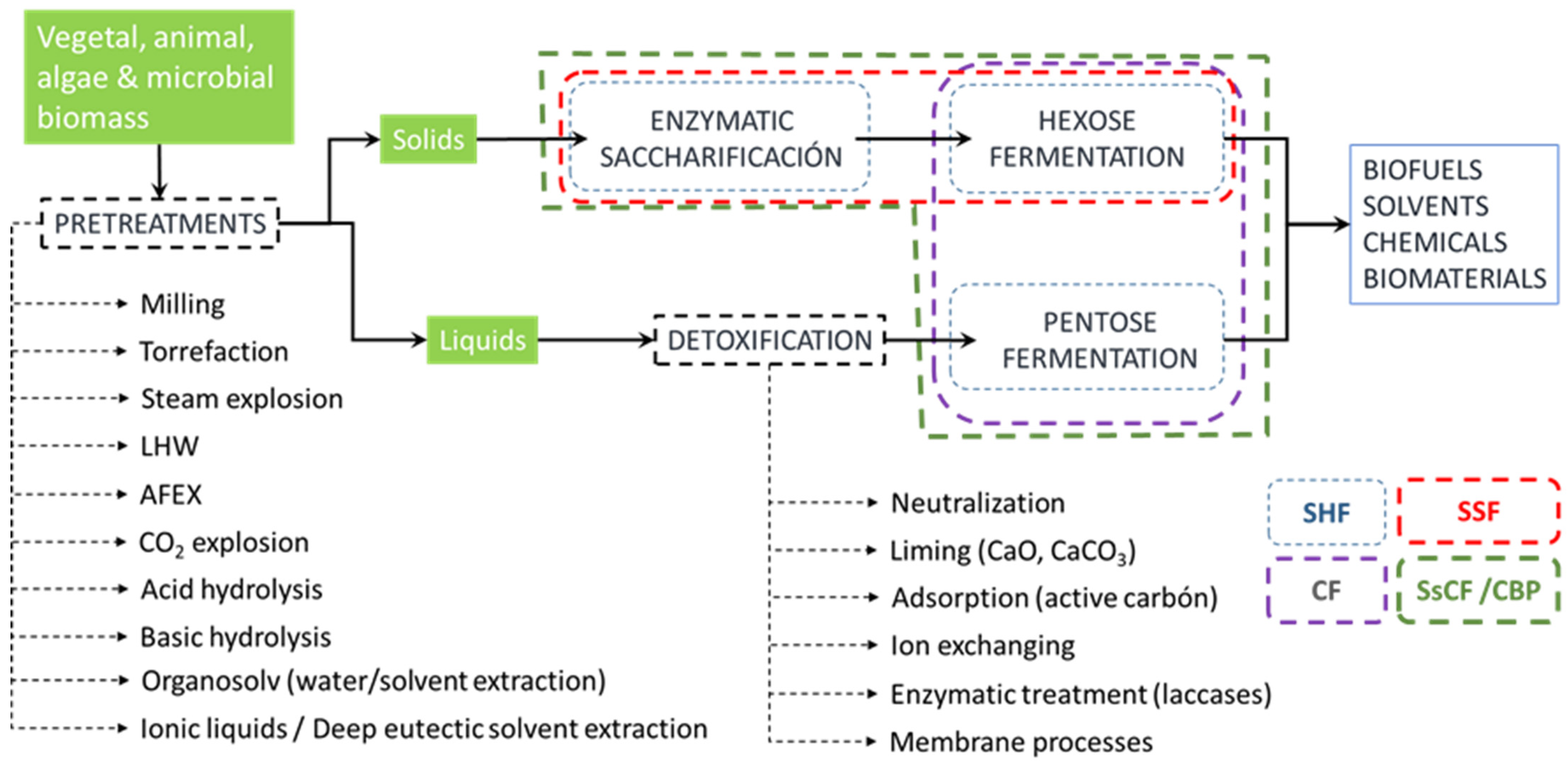 Fermentation 10 00059 g001