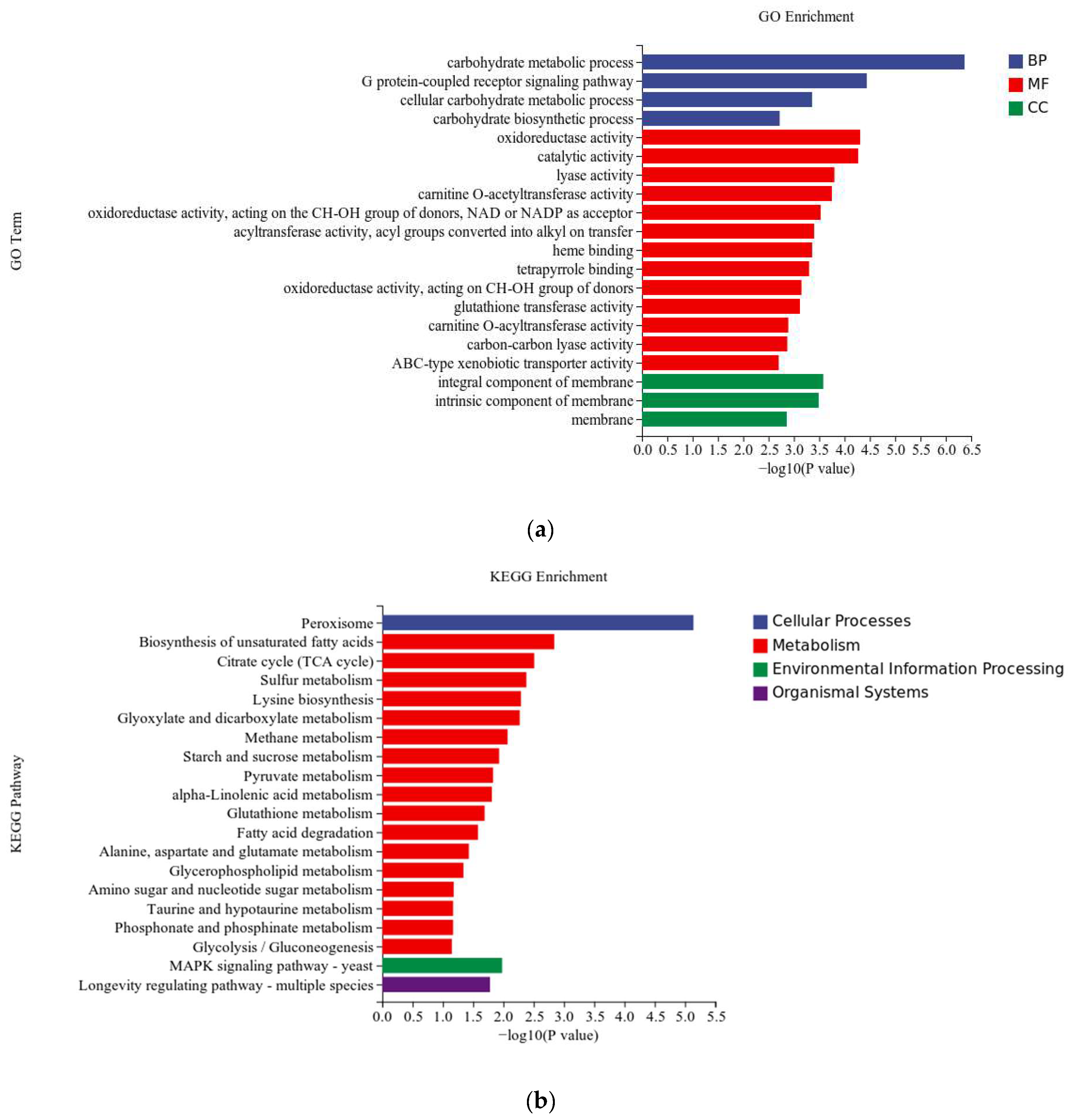 Fermentation 10 00069 g004