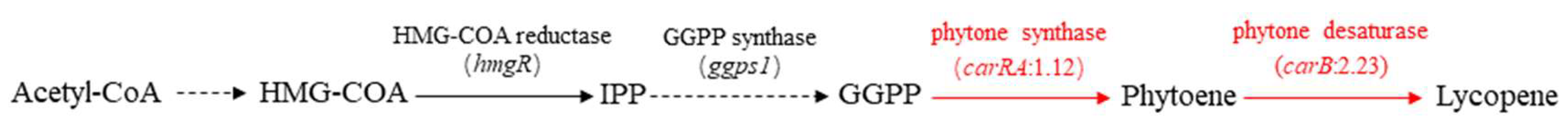 Fermentation 10 00069 g005