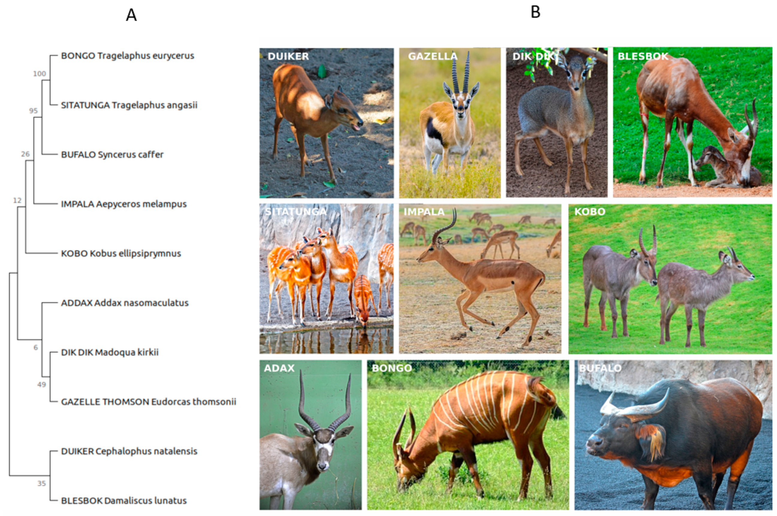 Fermentation 10 00119 g001
