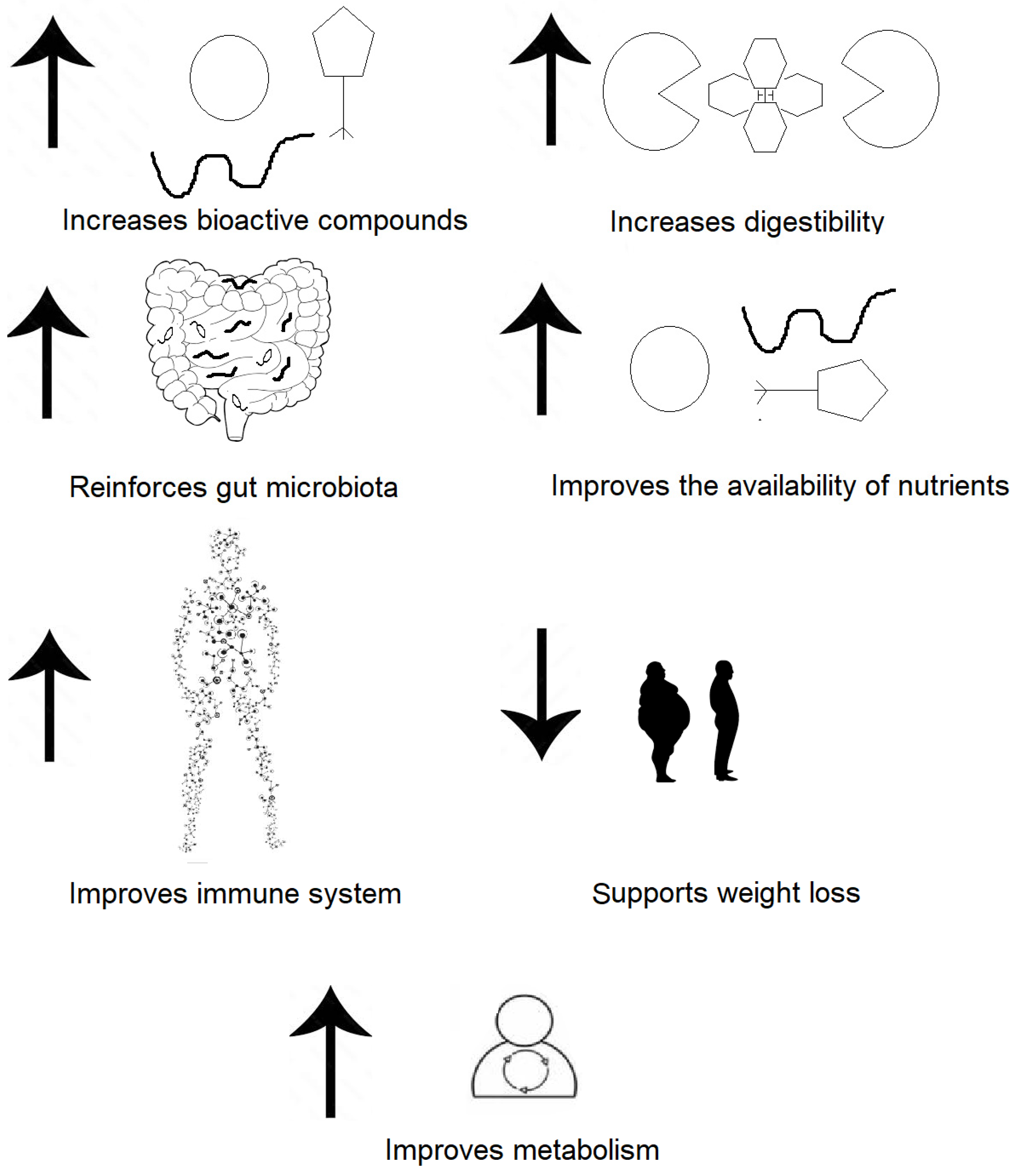 Fermentation 10 00124 g004