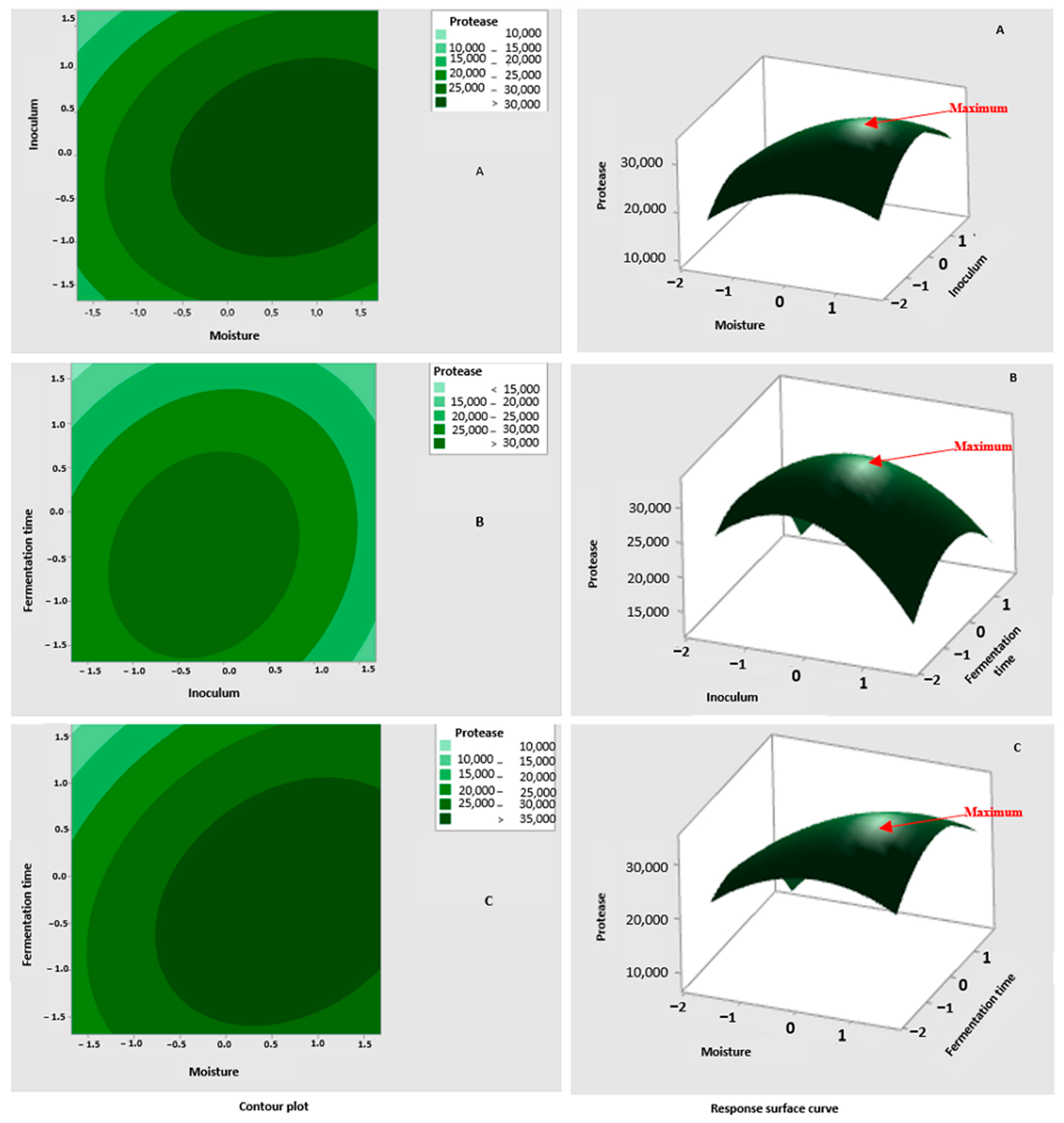 Fermentation 10 00139 g004 Fermentation 10 00139 g004