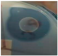 Fermentation 10 00139 i001 Fermentation 10 00139 i001