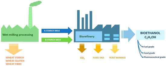 Y-shaped energy flow model: Who eats whom in nature – Eco-intelligent™